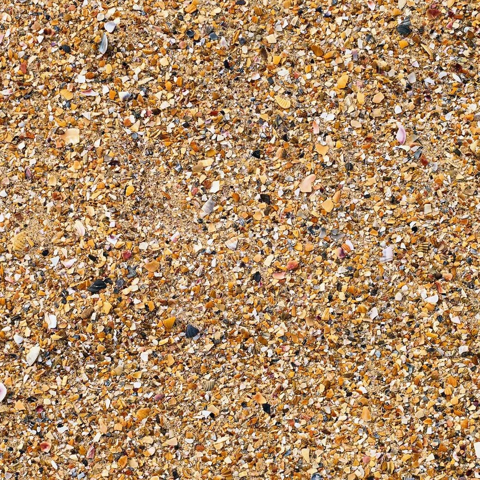 Croci Sandy con Grit 5 kg Sabbia Igienica per Volatili all'Anice con Gusci di Ostrica e Carbonato di Calcio