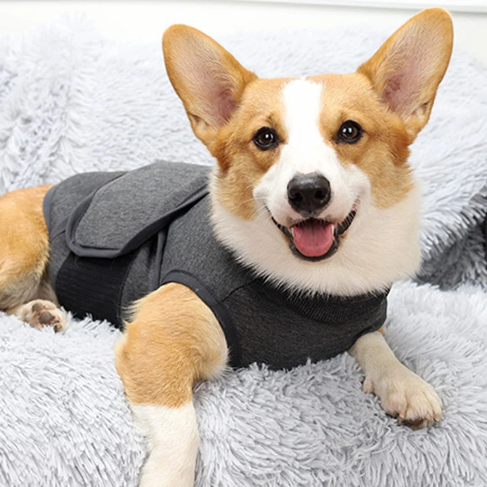Cane Ansia Gilet Traspirante Morbido Cappotto Calmante Per Cani Piccole Medie Grandi
