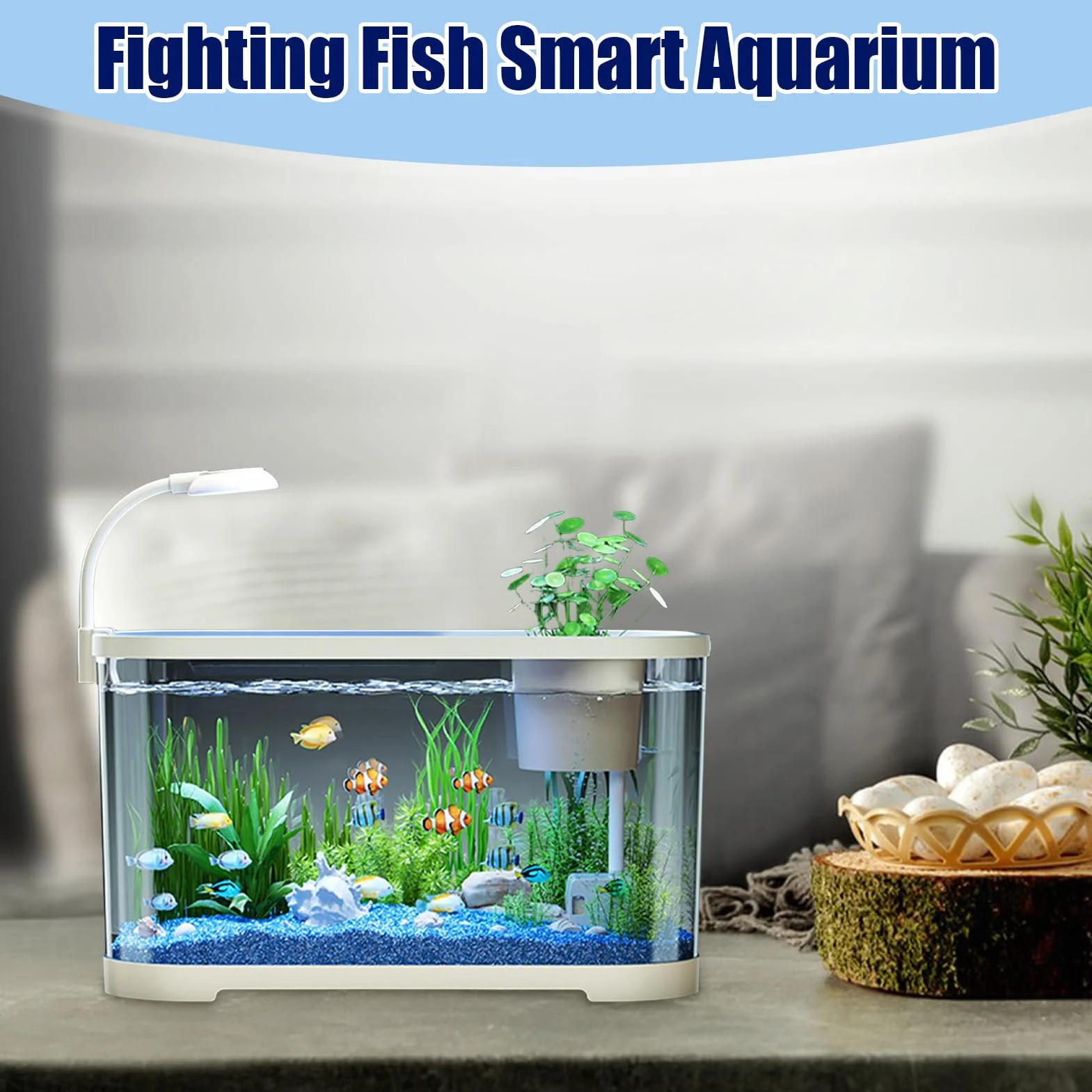 Kit Per Principianti Di Acquari ABS Decorazioni Per Tartarughe Terrestri Rane