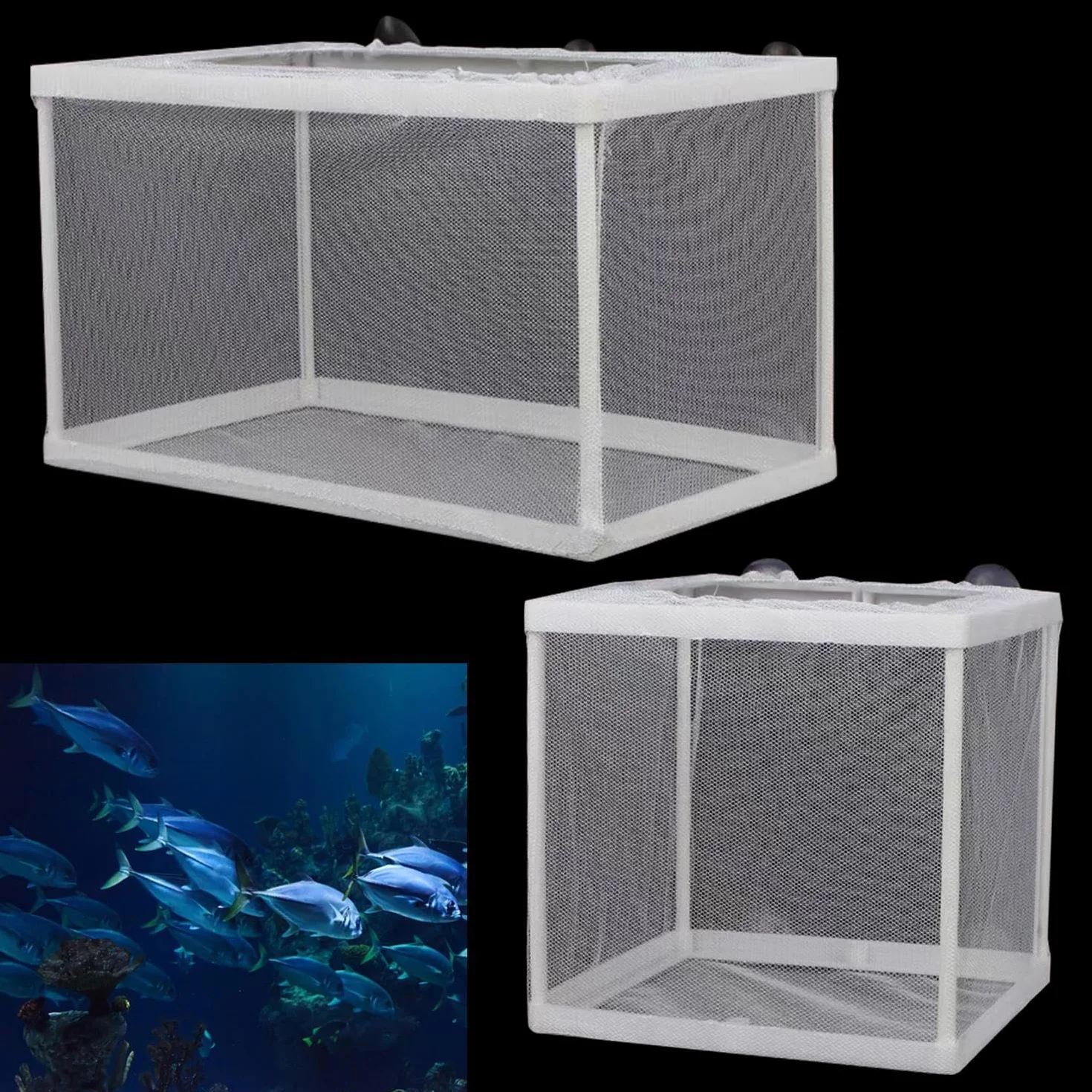 Rete Isolante per Serbatoi di Pesce e Scatola di Allevamento con Ventosa - Set da 2 per Acquario e Incubazione