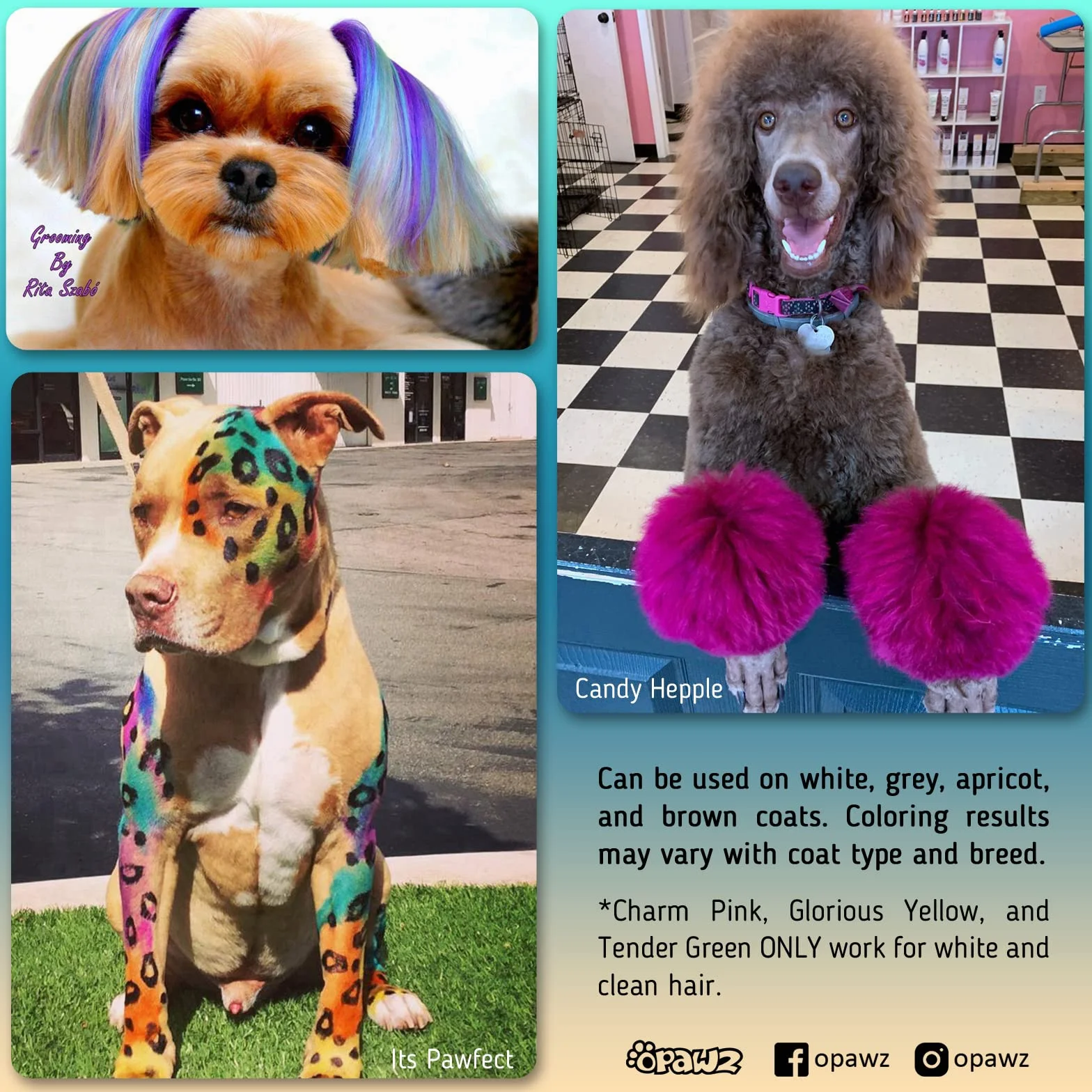 Opawz Permanente Tintura per Cani, Saloni Utilizzata Sicuro per Un Decennio Colorante per Cani, Tintura per Animali Dura Oltre 20 Lavaggi per Cani e Cavalli (Caldo Rosso)