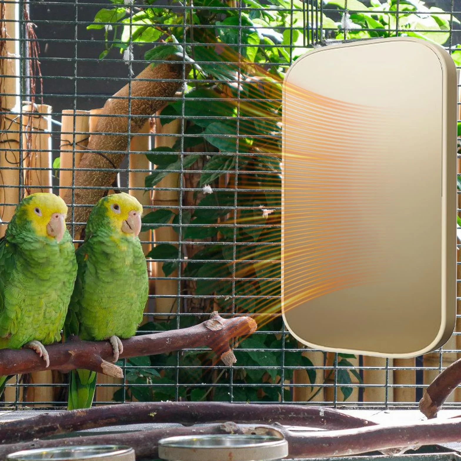 Riscaldatore Gabbia Uccelli, Termostato Riscaldante Per Pappagalli E Uccelli, Accessorio Riscaldante per Pappagalli Conuri Voliere Conigli Criceti Animali Piccoli