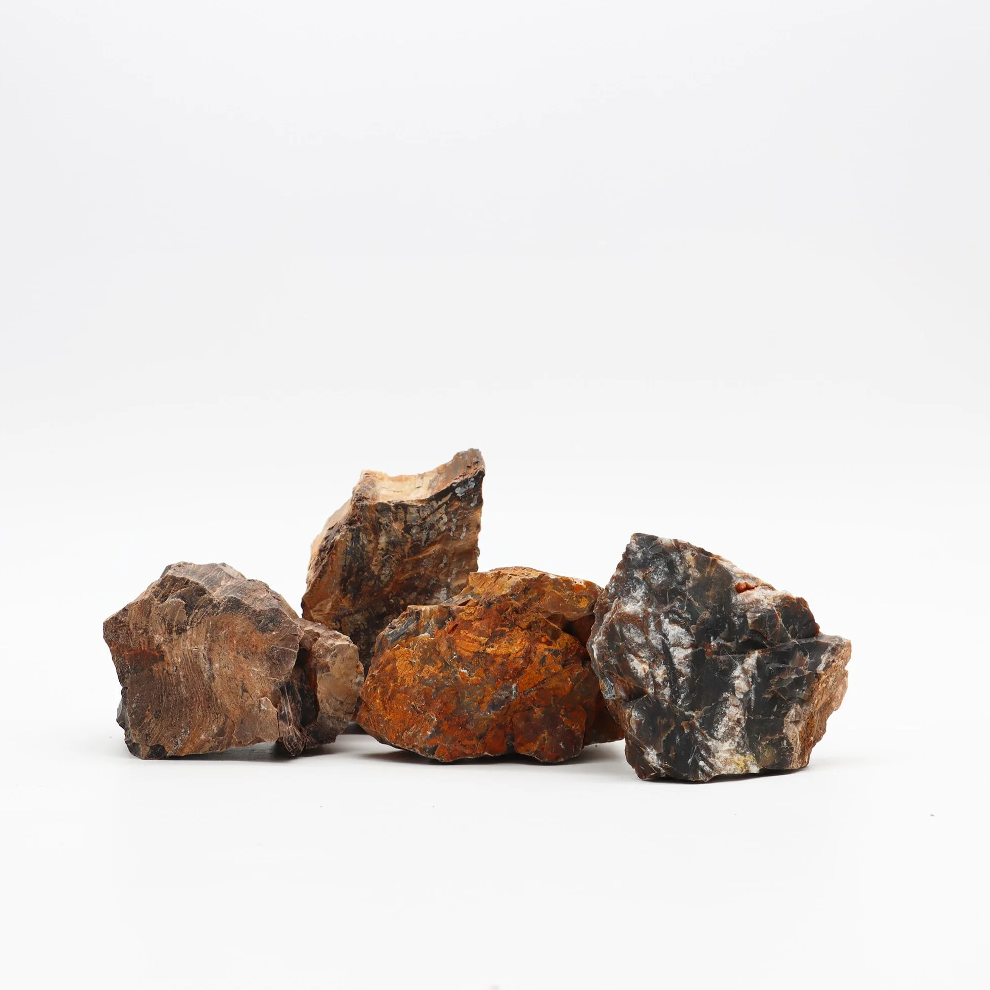 Amtra - Roccia Petrified, decorazione per acquario, naturale, non calcarea, 1 KG