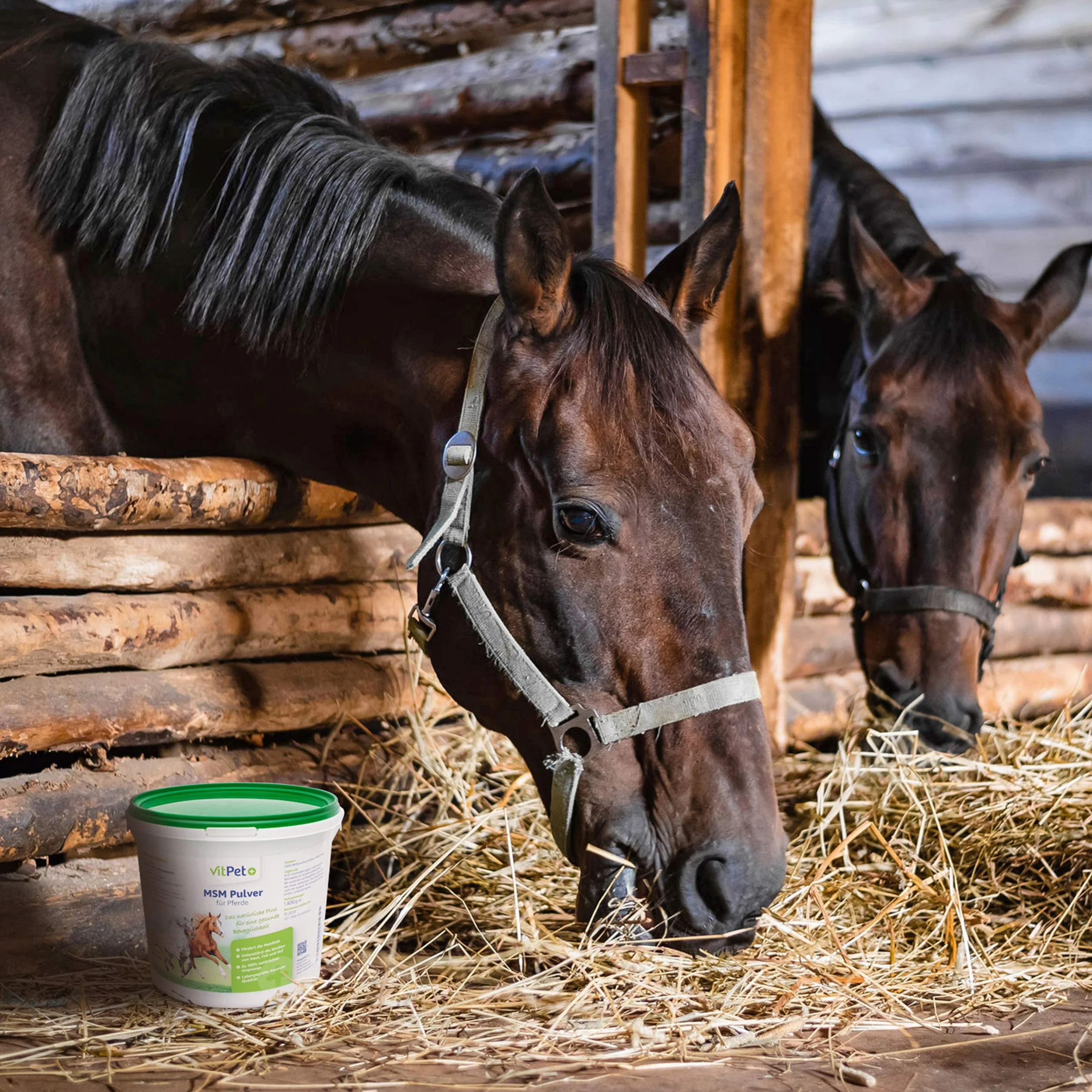 MSM polvere per cavalli Metilsulfonilmetano 1,8 kg