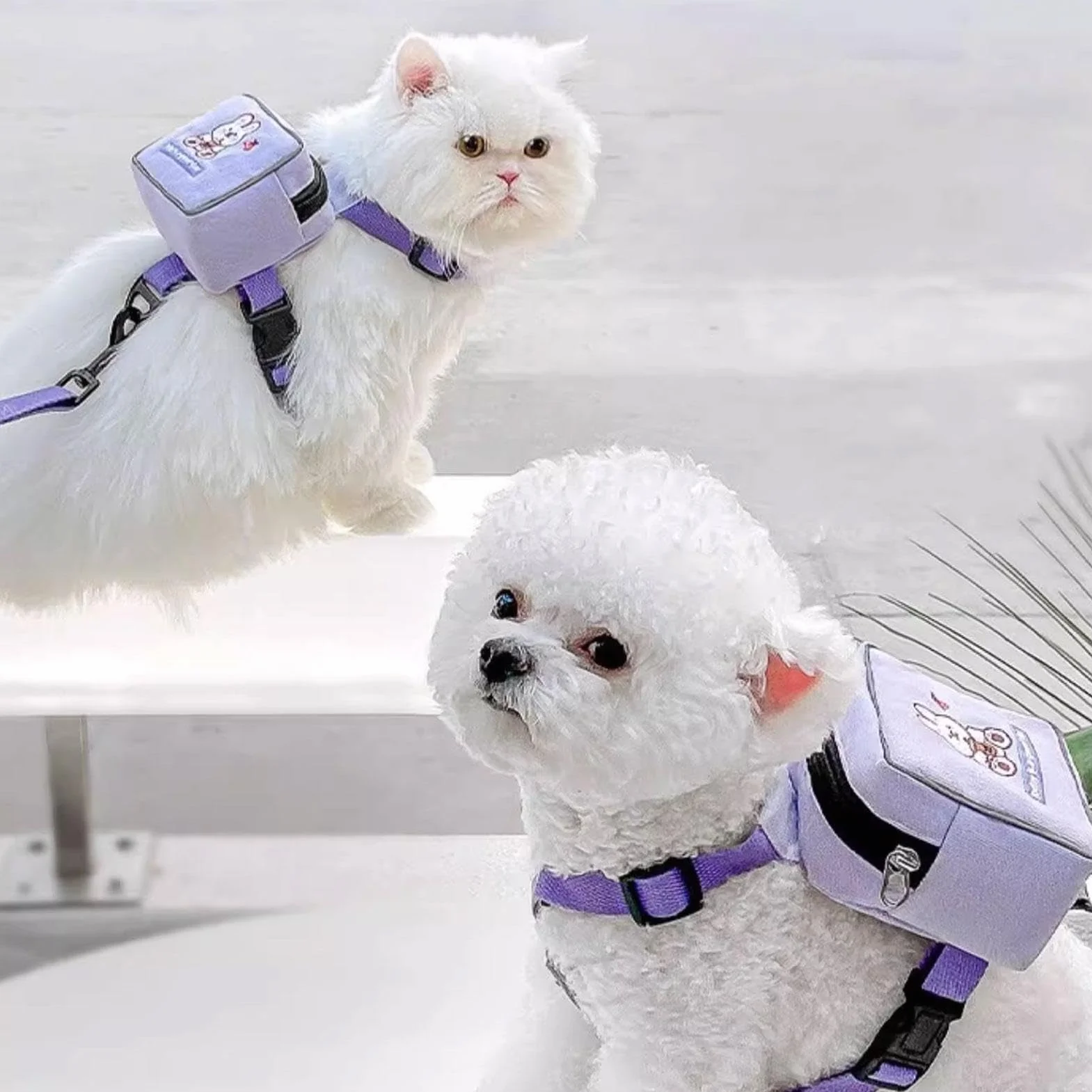 Imbracatura per zaino per cani | Imbracatura da trekking con design animale dei cartoni animati | Borsa da sella regolabile per cani, con motivo colorato con orso, coniglio, dinosauro per viaggi,