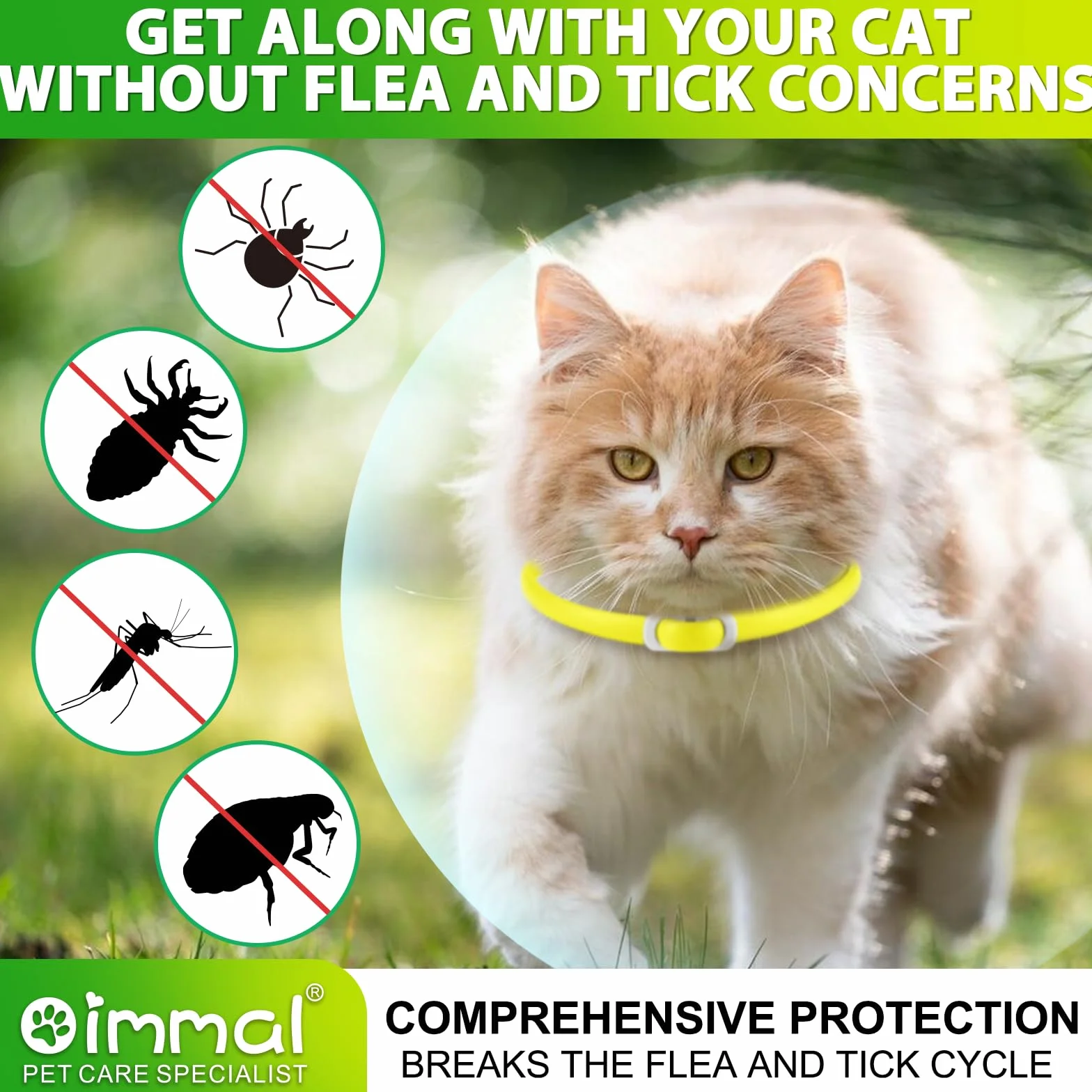 Collare Di Zecca Per Gatti, Collare Di 4Pack Per Gatti Con, Sicuro Ed Efficace Per Il Controllo Delle Pulci E Zecche, Design Impermeabile E Rimovibile, Protezione Di 24 Mesi Per Tutti I Gatti