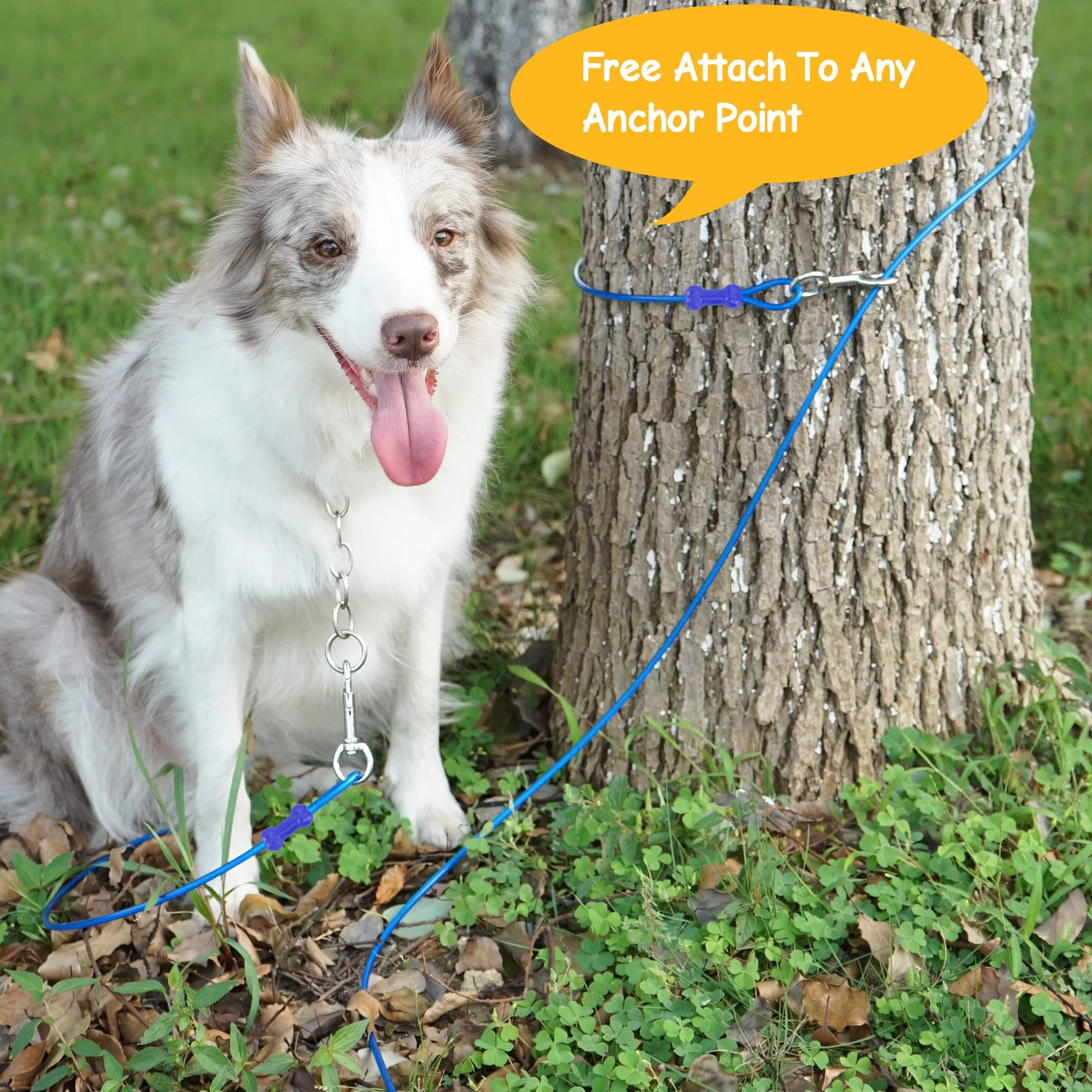 Petphabt - Cavo resistente per cani da 3 m, per cani di grandi dimensioni, giardino, giardino, parco animali domestici, cavo blu 56,7 kg