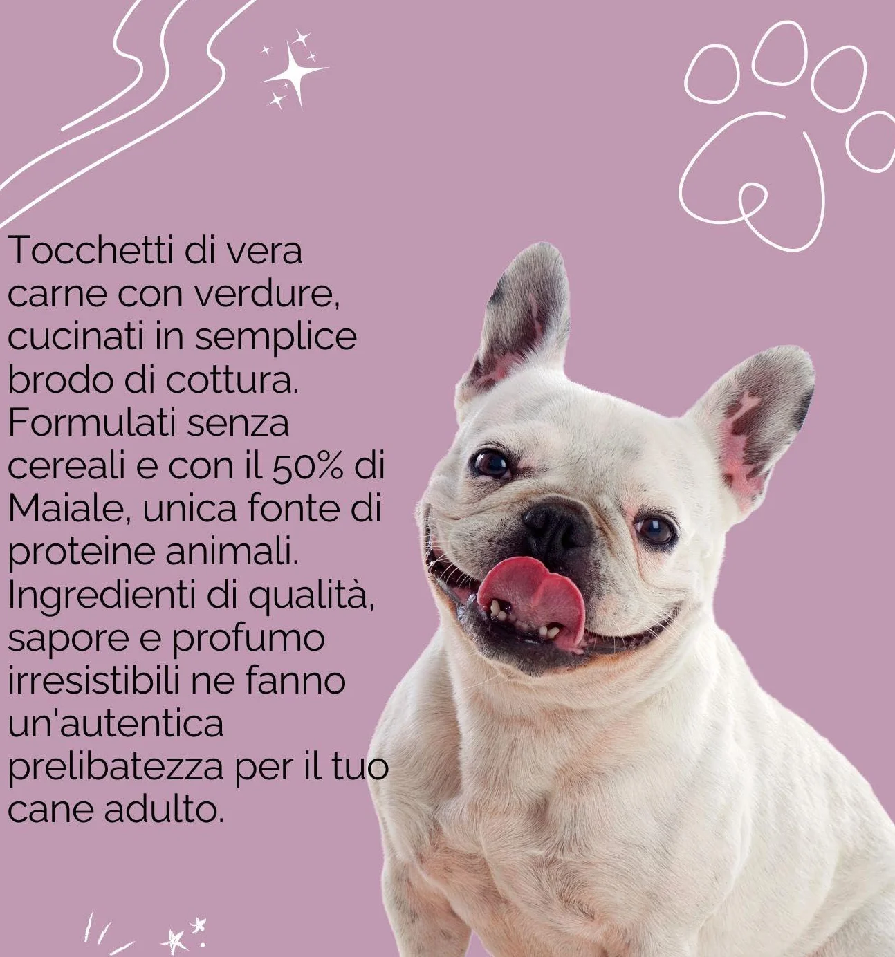 Oasy umido cane adult grainfree, alimento completo per cani adulti di taglia piccola (small) gusto MAIALE | 6 scatolette da 200 grammi l’una.