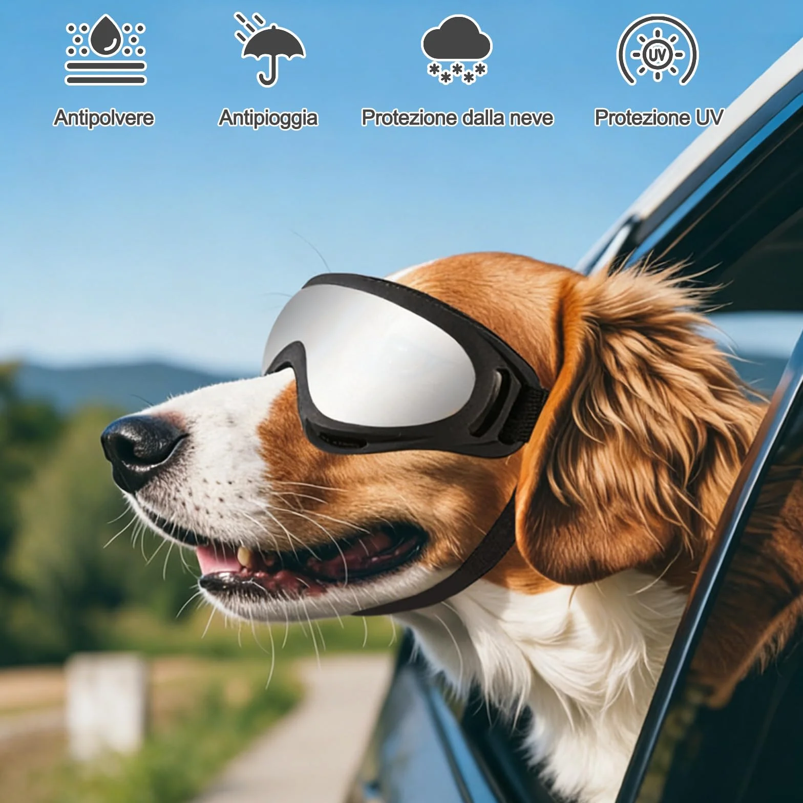 Galatée Occhiali Per Cani, Occhiali Da Sole Per Cani Con Cinturino Regolabile, Protezione UV, Occhiali Da Sole Antivento Per Cuccioli, Adatti Per La Protezione Degli Occhi Dei Cani(Lenti Rosse)