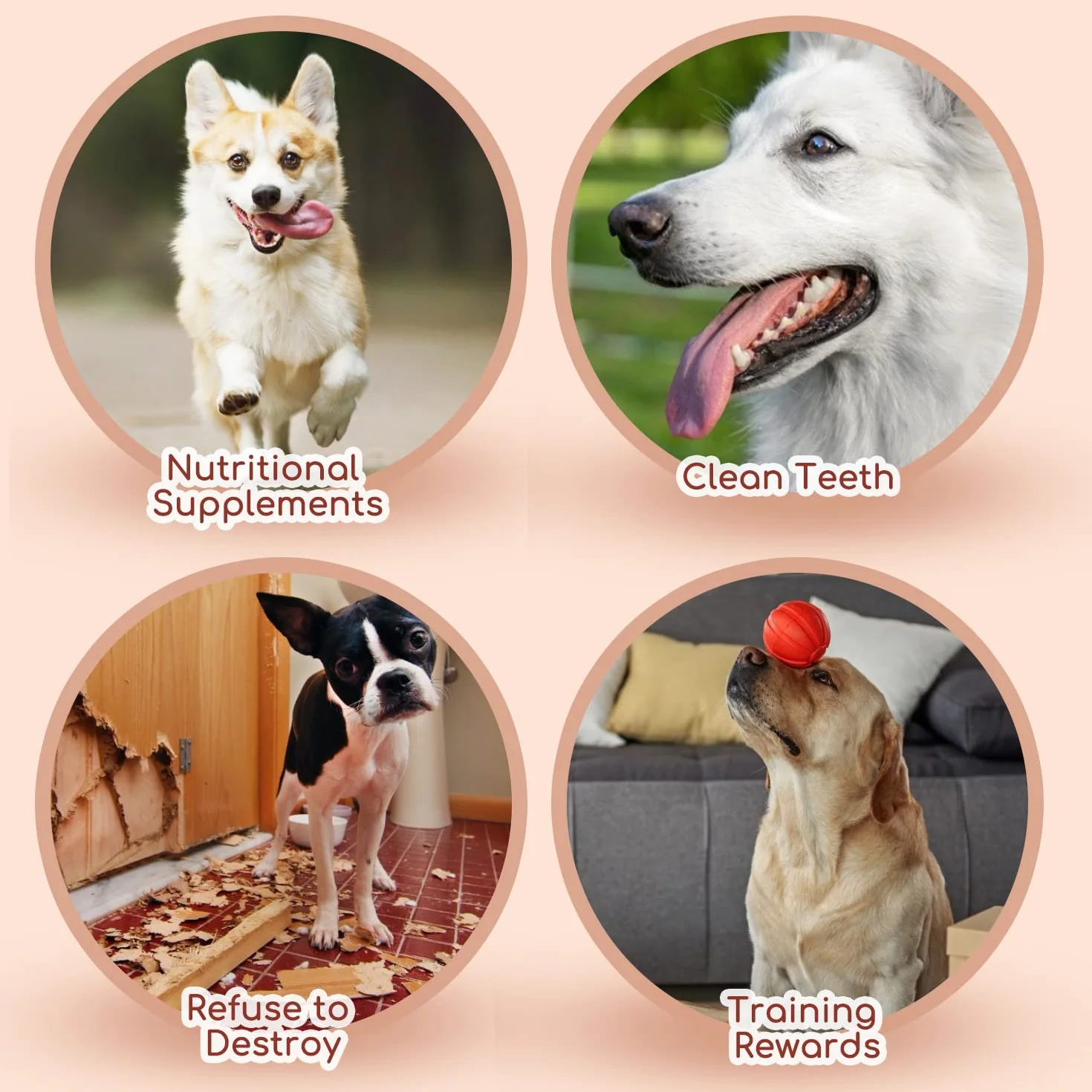 Nobleza - Snack per Cani, Bastoncini Masticabili con Carne e Merluzzo di Pollo, Snack Naturale per Cuccioli di Cane, L10 cm, 6 Confezioni x 80 g