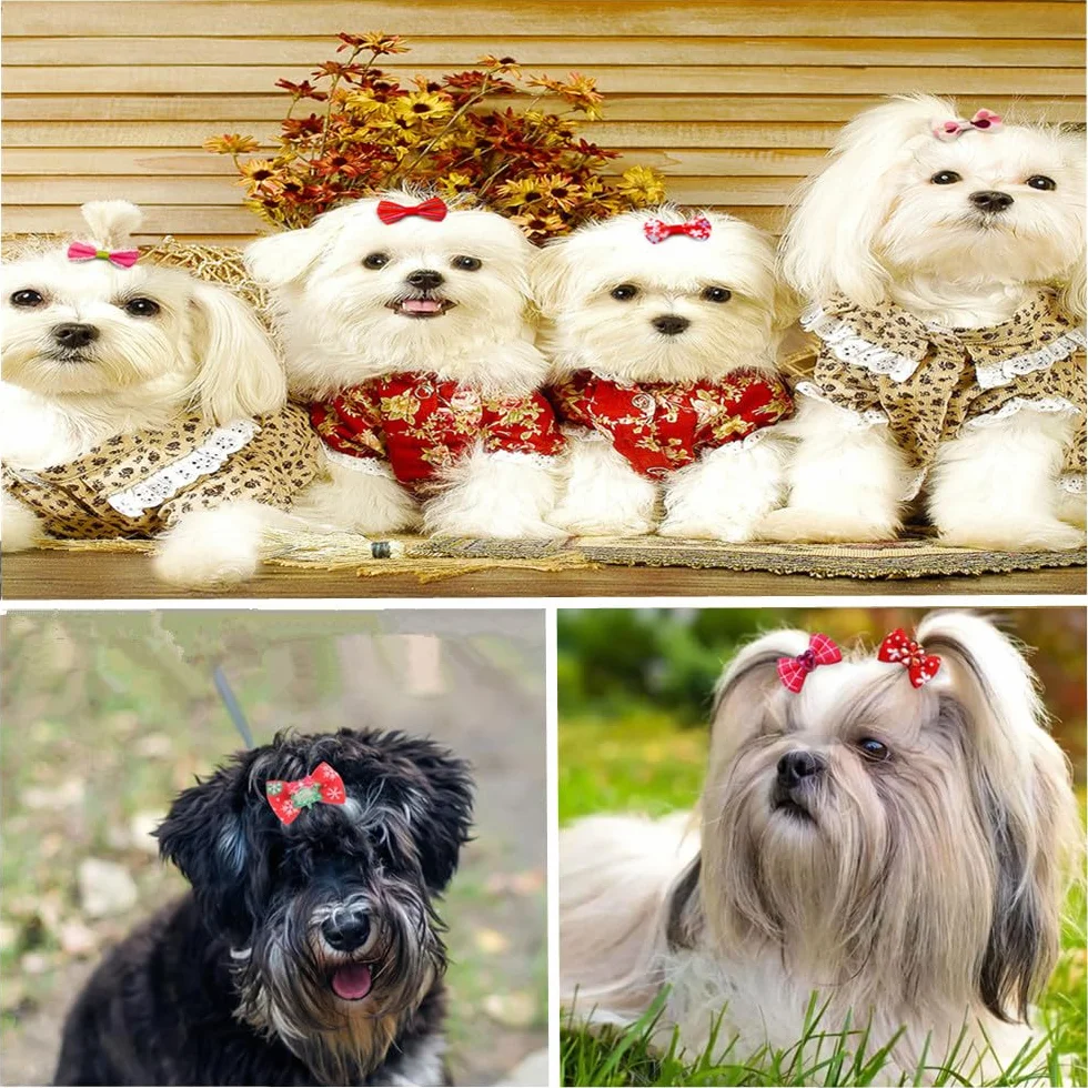 30 Pezzi Fiocchi per Cani con Elastici, vari stili di fiocchi per cani, Dog Bow Stili Multipli Fiocchi per Capelli per Cani Graziosi Accessori per la Toelettatura,accessori per collari per cani