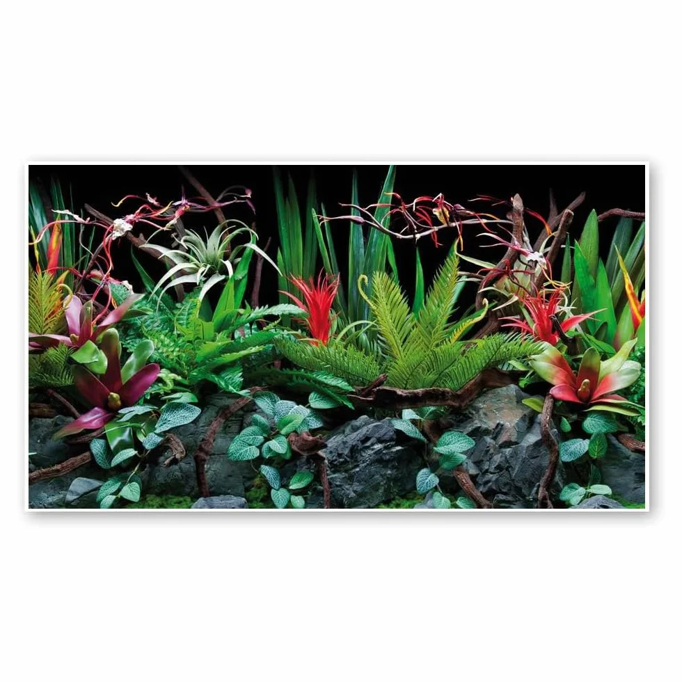 Amtra Sfondo Doppio Flora - Sfondo Poster per Acquario, Decorazione a Doppia Stampa HD, Double Face, Impermeabile, Formato 30x60 cm