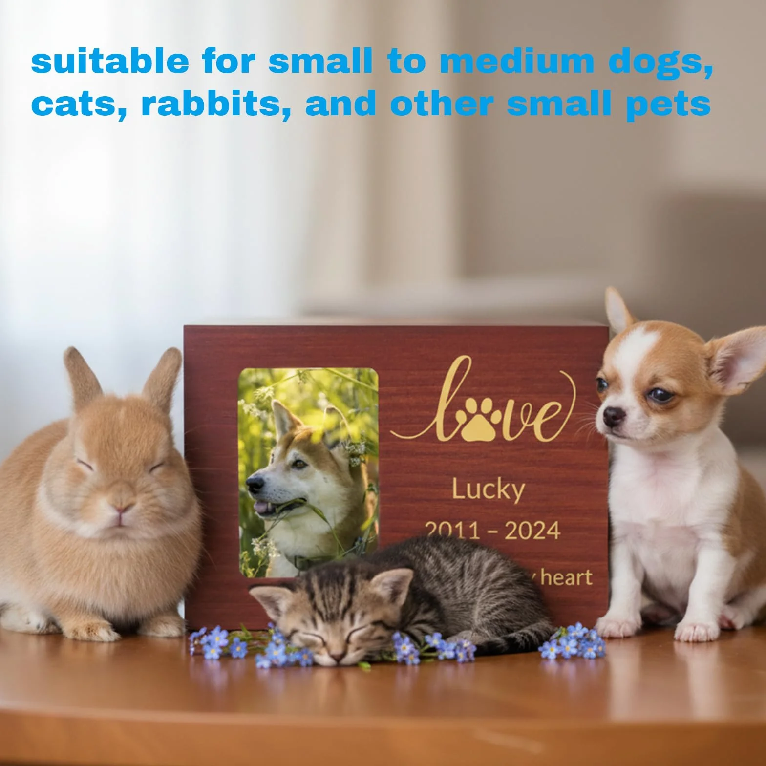 Urna commemorativa Personalizzata per Animali con Foto, Nome, Data e Testo inciso, in Legno o bambù di Dimensioni Medie per Cani, Gatti e Conigli (bambù)