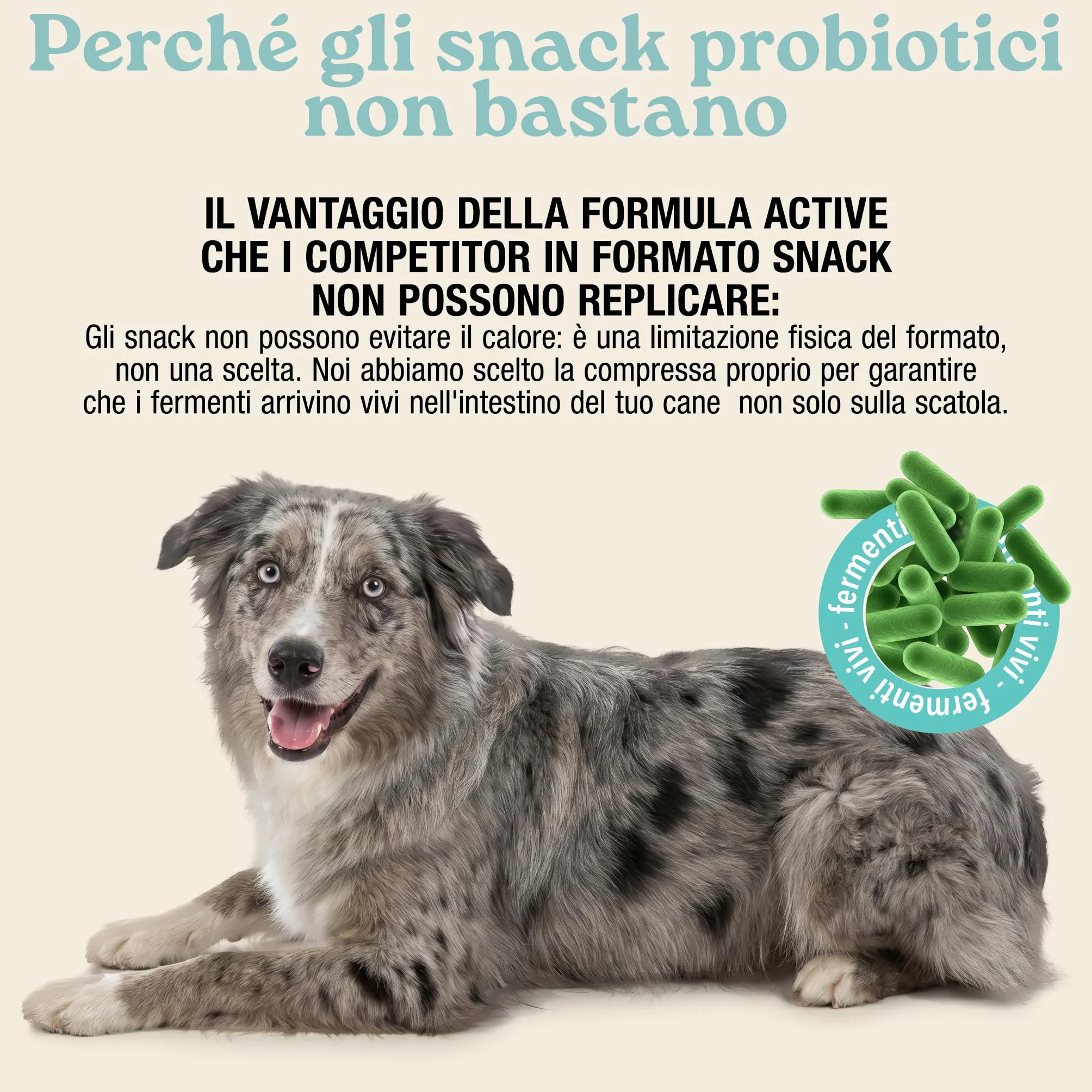 MyPetPrime Fermenti Lattici Cane ACTIVE 30 Cpr Probiotici Digestivi da 6,5 Miliardi con Inulina - Equilibrio Intestinale e Digestione, Ripristino della Flora Batterica, Riduzione di Prurito Cutaneo