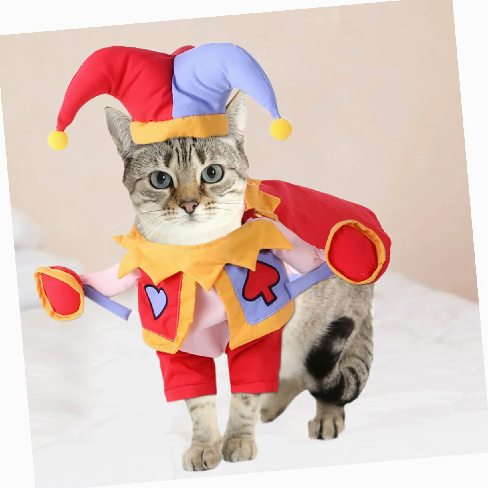 Happyyami 2sets Costume Per Animali Domestici Cartone Cappello Decorativo Per Cani e Gatti Abbigliamento Cosplay Resistente Per Feste e Eventi Completo Per Cuccioli e Gattini