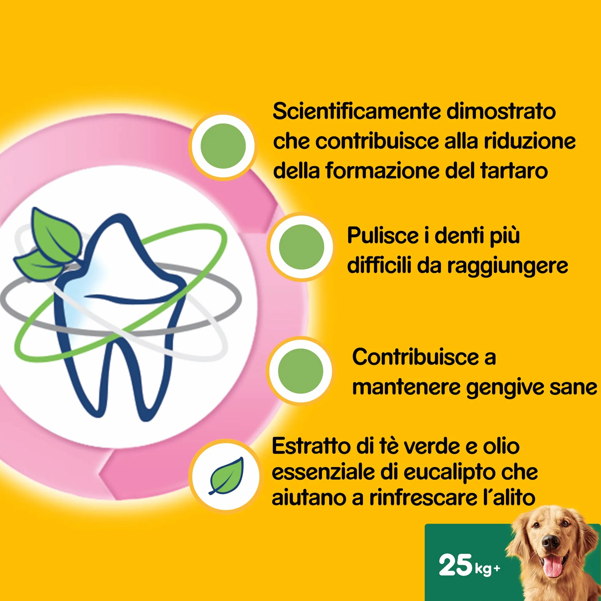 Pedigree Dentastix Fresh 70 Snack per la Igiene Orale (Cane Grande 25 kg+) 270 g 7 Bastoncini - 10 Pacchetti (70 Bastoncini in Totale)