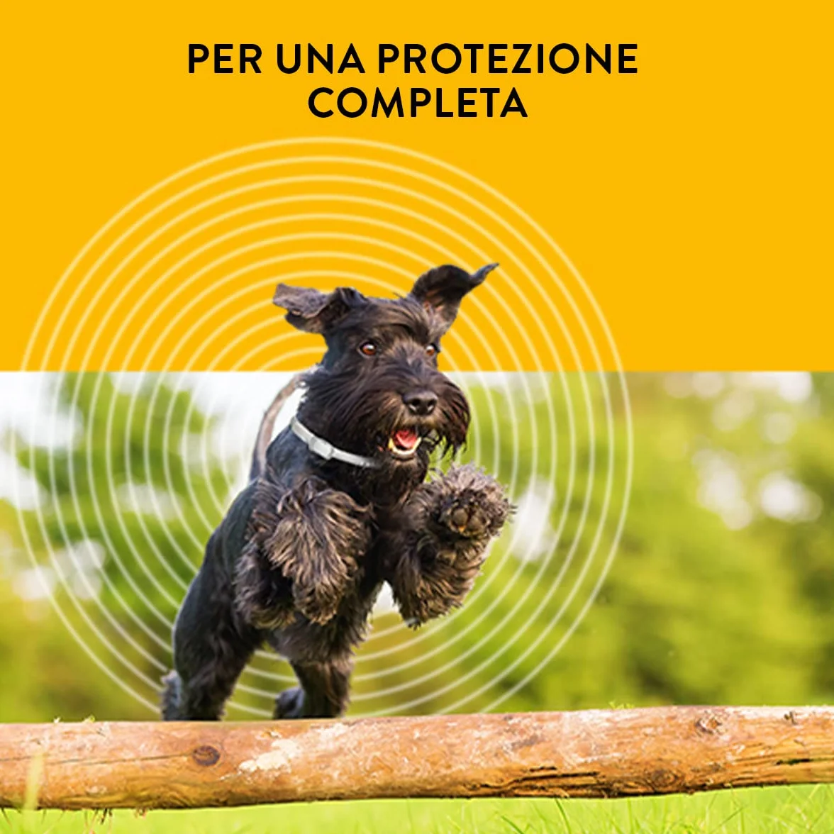 Scalibor Collare 48 cm MSD Animal Health