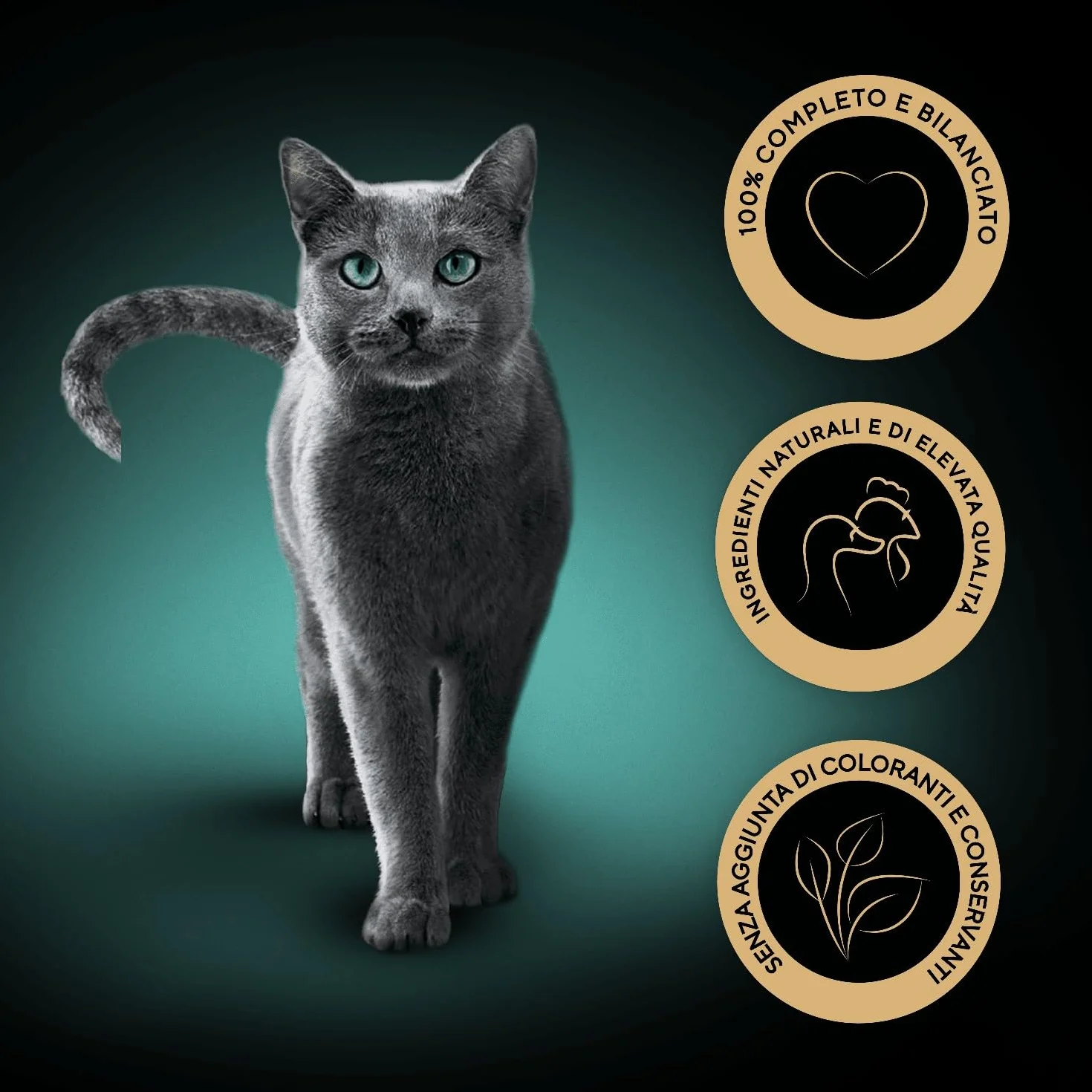 Sheba Paté Classics, Cibo per Gatto con Vitello e Pollo, 22 Vaschette da 85 g, Totale 1870 g