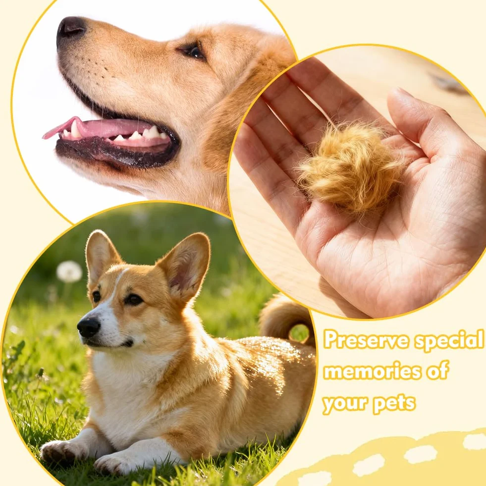 Portachiavi Ricordo Peli di Cane - Figurina 3D Cane Trasparente, Capsula Conservazione Peli Animale, Regalo Creativo per Amatori di Cani Gatti, Ricordo Perdita Animale Domestico