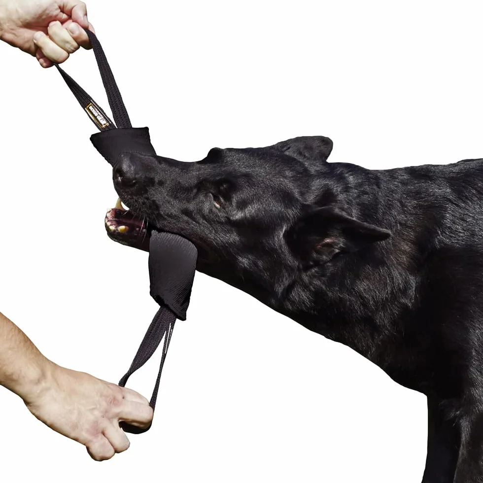 Dingo Gear - Rimorchiatore in Nylon per addestramento Cani IGP & Fun, 2 Maniglie, Nero, 28 x 7 cm