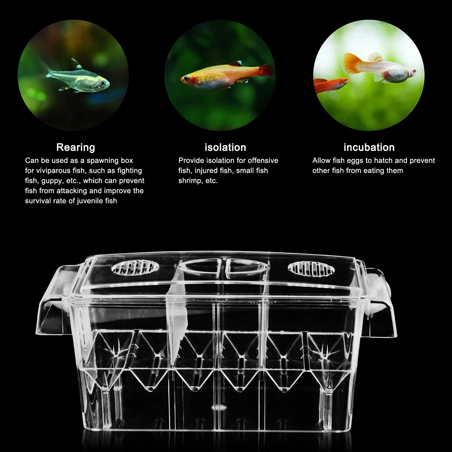 Sala Parto Acquario Grande e Trasparente - Scatola di Allevamento per Pesci Rossi - Incubatrice con Nursery, 27 x 11.5cm