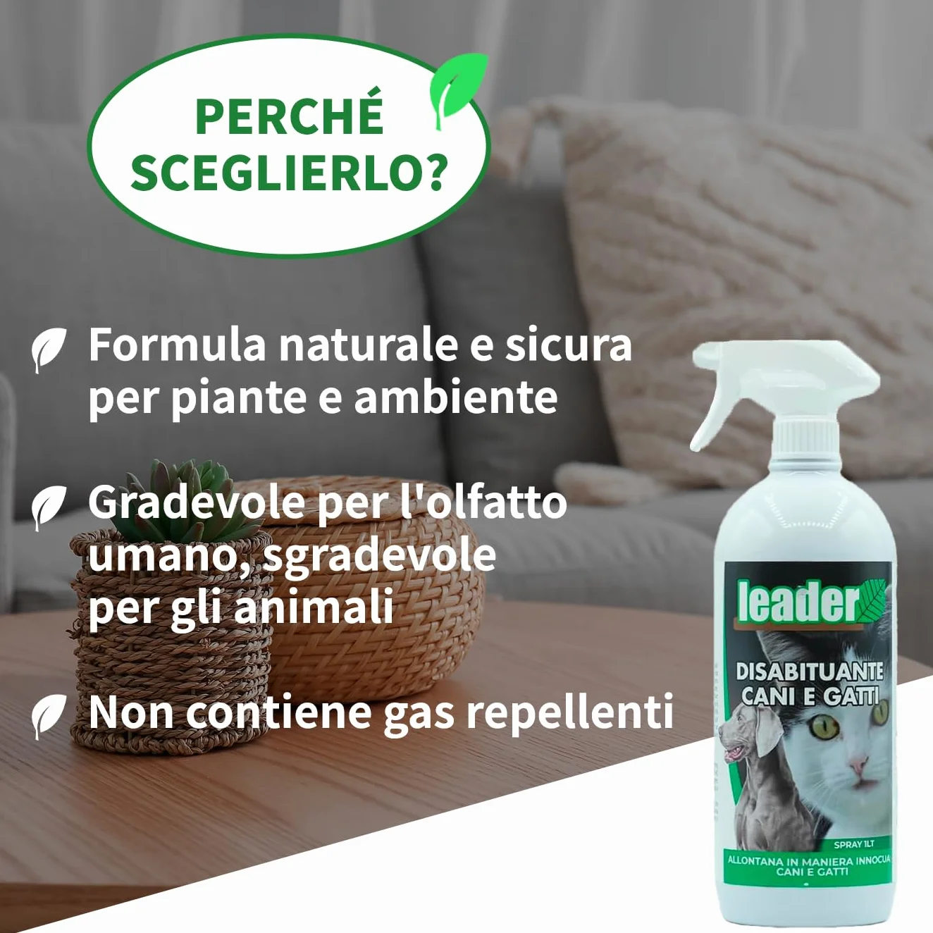 LEADER, Disabituante Spray, Repellente, Dissuasore, Allontana Cani e Gatti, Crea Barriera Olfattiva, Con Oli Essenziali ed Ingredienti Naturali, Uso per Superfici Interne ed Esterne, Formato da 1L