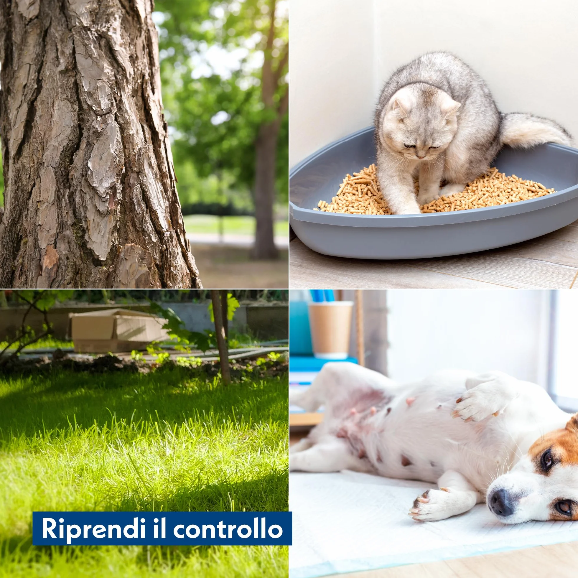 Amore Mio | Spray Attrattivo per Cani, Gatti e Cuccioli, Prodotto Educativo per Addestramento Lettiera, Traversina, Abituante, Spray Correttore per Animali Domestici - 500 ml