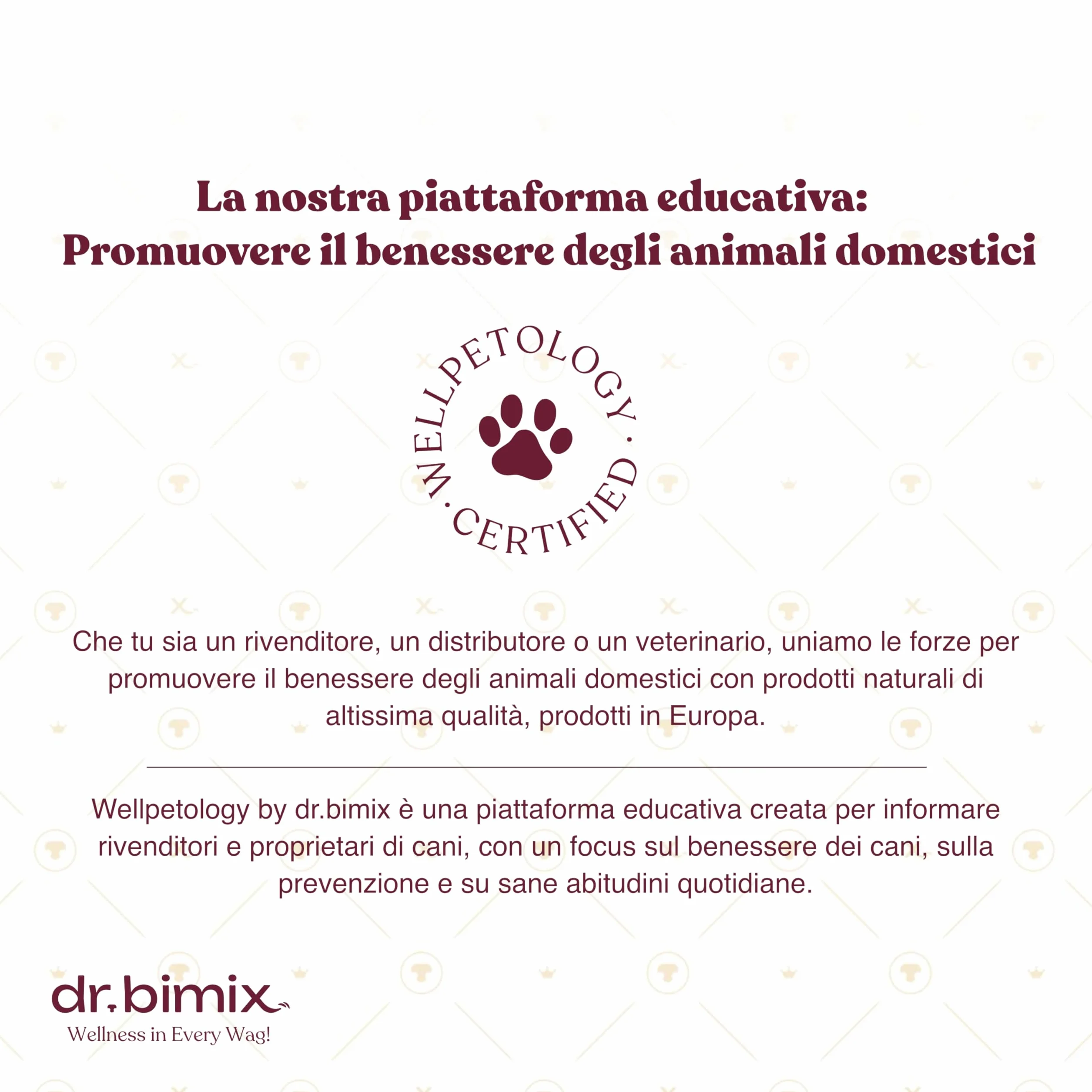 Bastoncini per Cani di Nervi di Toro | Snack Naturale Disidratato | Salute Dentale e Benessere | Alta Durezza | Senza Additivi - 450g (20 pezzi)