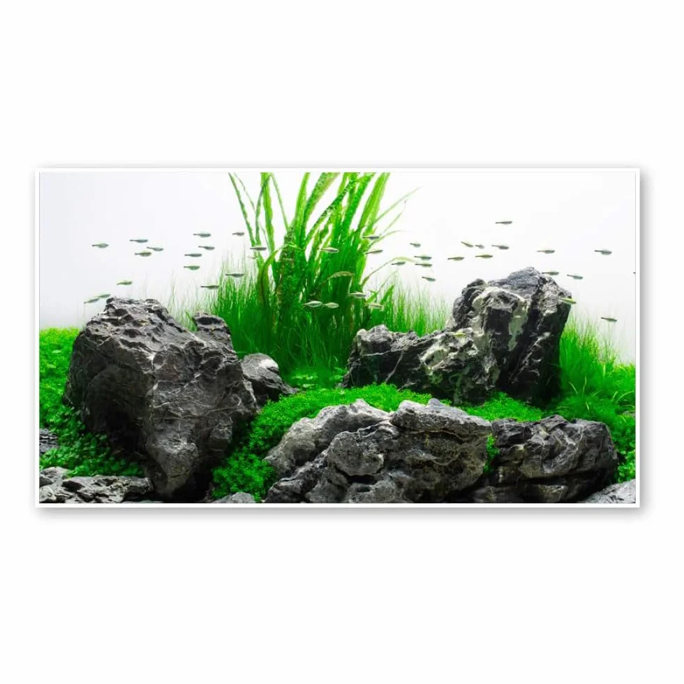 Amtra Sfondo Doppio Amazonia - Sfondo Poster per Acquario, Decorazione a Doppia Stampa HD, Double Face, Impermeabile, Formato 30x60 cm