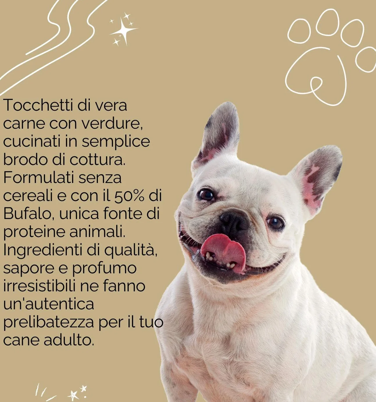 Oasy umido cane adulto grainfree, alimento completo per cani adulti di taglia media e grande (medium) gusto BUFALO | 6 scatolette da 400 grammi l’una.