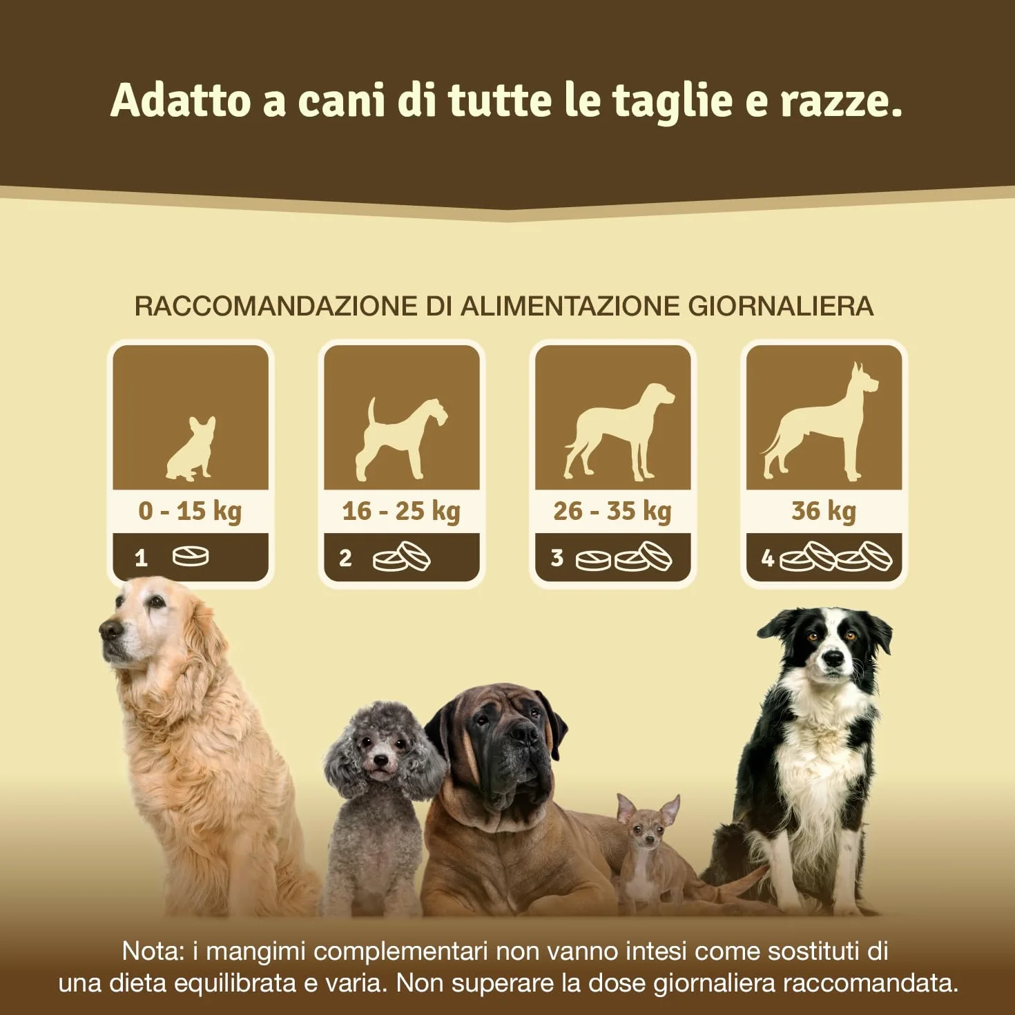 Veddelholzer VINCITORE CERTIFICATO 2024 Compresse per articolazioni cani con cozza dalle labbra verdi MSM artiglio del diavolo Glucosamina collagene
