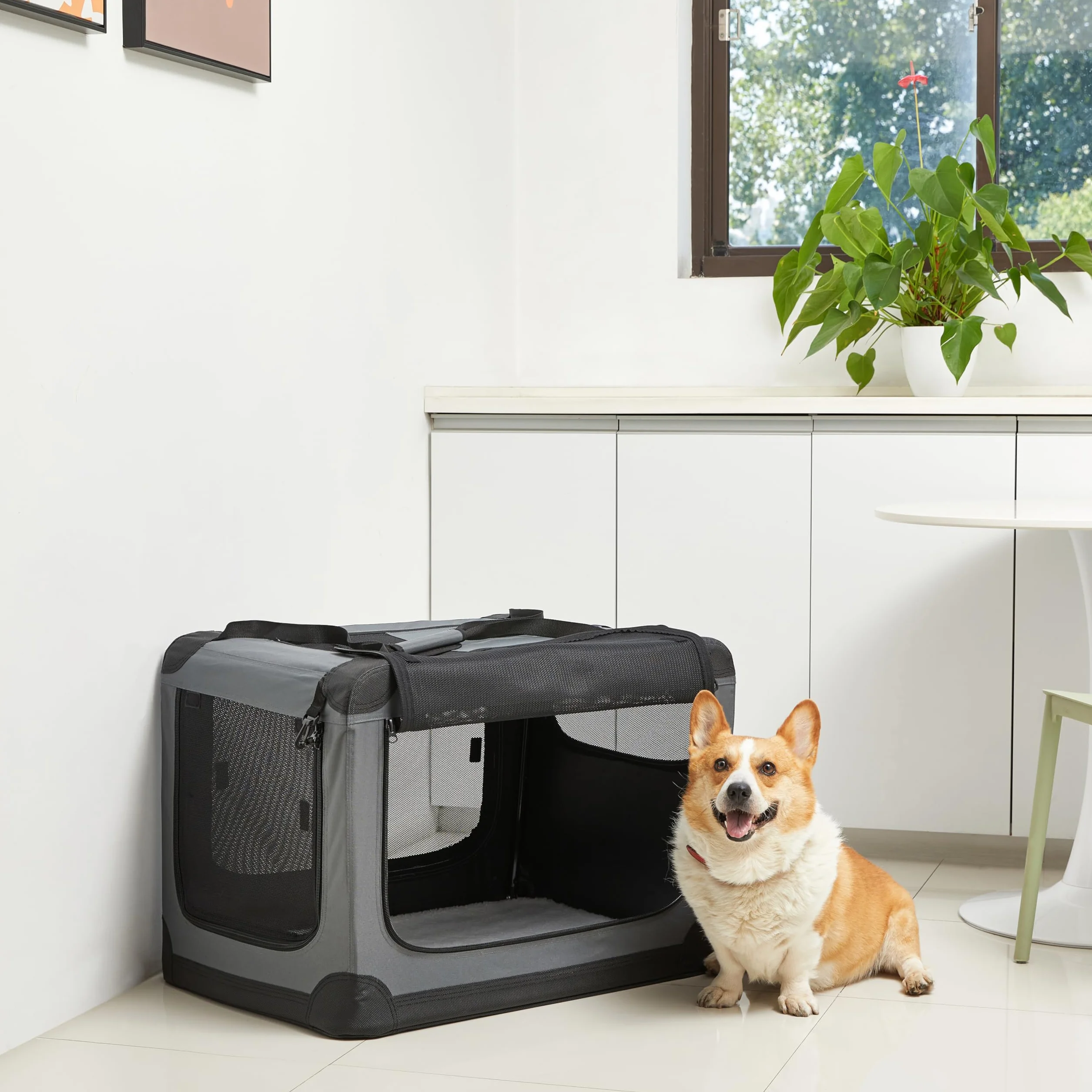 Amazon Basics Trasportino portatile e pieghevole a 4 porte per cani e gatti, Grigio M 76 cm x 54 cm x 54 cm