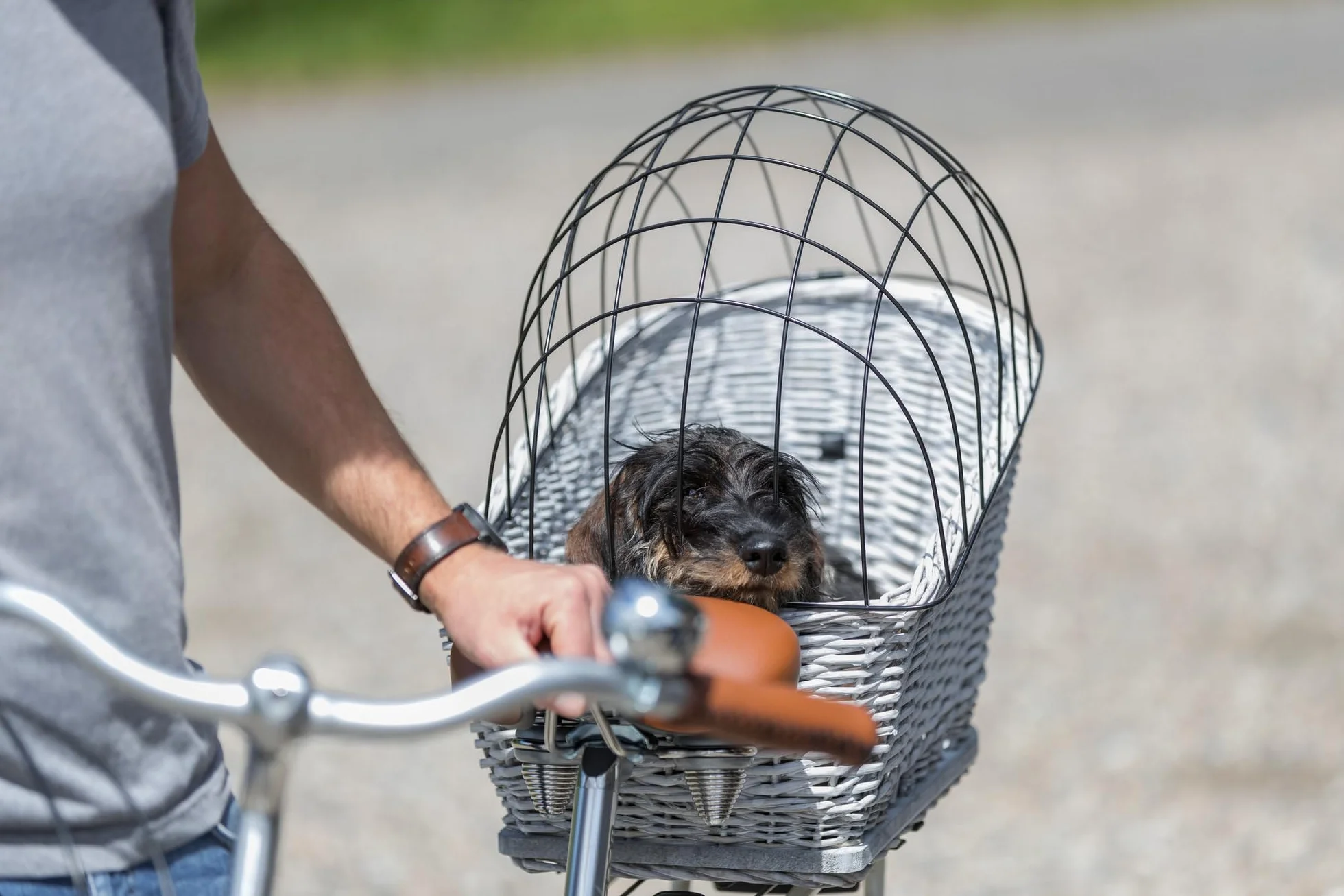 TRIXIE Cestino per bicicletta con griglia per portapacchi