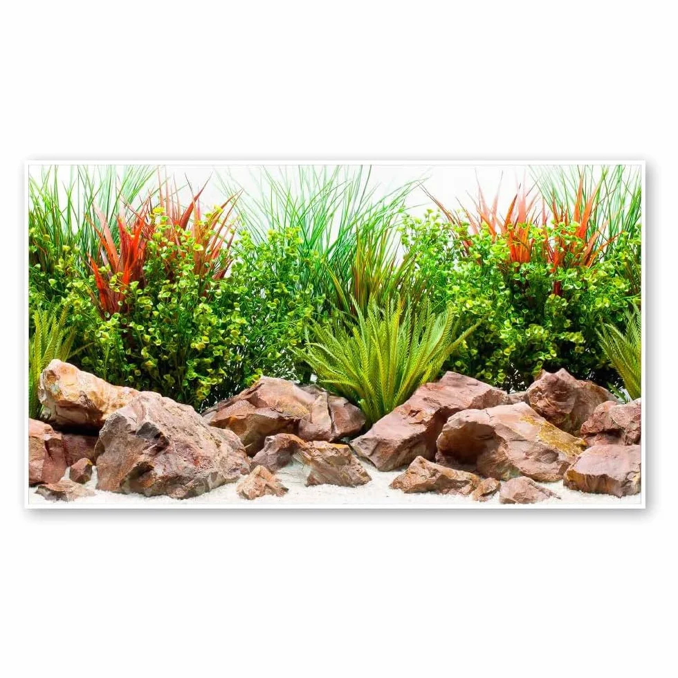 Amtra Sfondo Doppio River - Sfondo Poster per Acquario, Decorazione a Doppia Stampa HD, Double Face, Impermeabile, Formato 30x60 cm