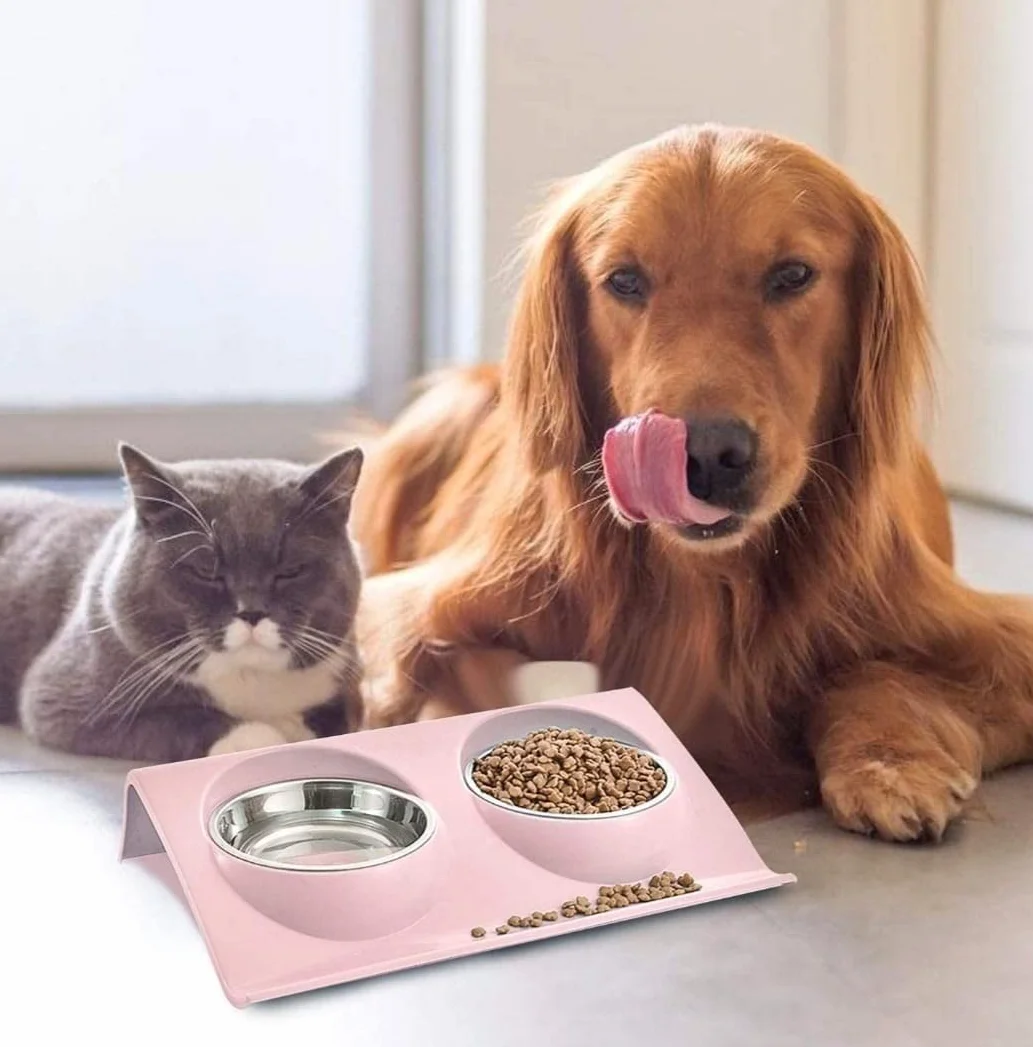 Ciotola Rialzata Per Cani, Ciotole Per Gatti, Acciaio Inossidabile Estraibile e Lavabile Con Supporto Rialzato, Raccoglie lee Crocchette, Portatile Antiscivolo (AZZURRO)