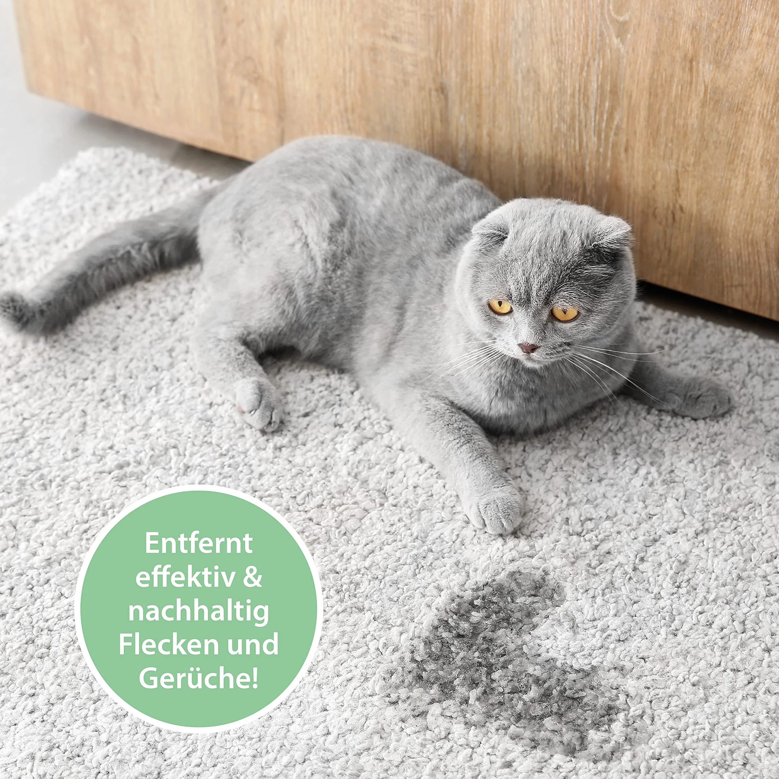 Spray enzimi urina gatto 100 ml – Pipi-Gone di ARKA – rimuove odori e macchie di pipì, feci e vomito – sicuro, biologico e senza profumi – ideale per viaggi, test, lettiera, divano, tappeti, tessuti