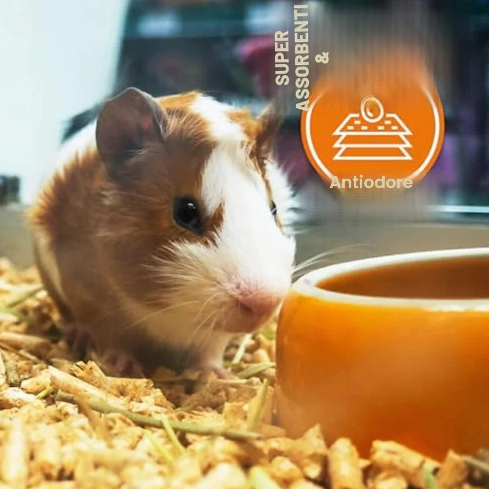 Anibest Pellet di piccoli animali, 100% lettiera naturale per conigli, criceti, porcellini d'India e Co, pellet di legno assorbenti e antiodori, lettiera facile da dosare, 11 kg/20 l