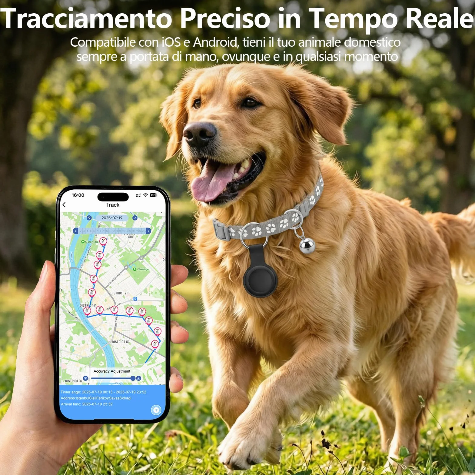 GPS per Cani, Collare GPS Gatto con Tracciamento in Tempo Reale, Localizzatori GPS per Cani, Posizionamento Globale Compatibile con iOS e Android, Impermeabile IPX6, Nessun Abbonamento - Grigio