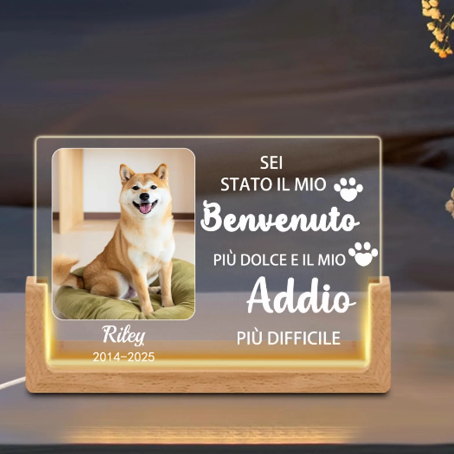 Luminaria Personalizzata per Cani,Lampada LED con Foto & Nome del Cane, Design con Cuore & Impronte, Regalo Commemorativo per la Perdita dell'Animale Domestico con Data (Style D)