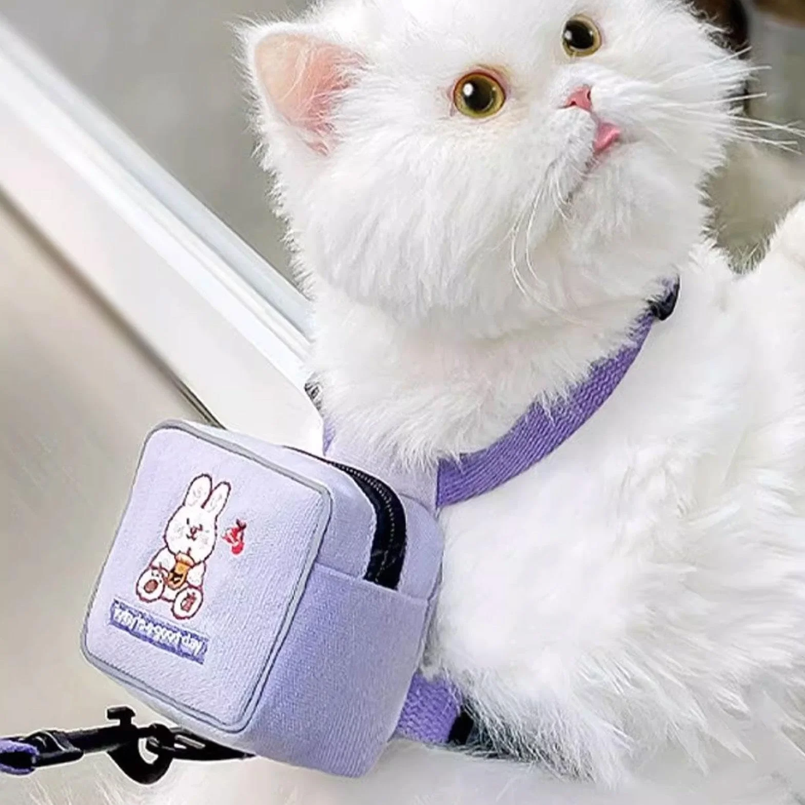 Imbracatura per zaino per cani | Imbracatura da trekking con design animale dei cartoni animati | Borsa da sella regolabile per cani, con motivo colorato con orso, coniglio, dinosauro per viaggi,
