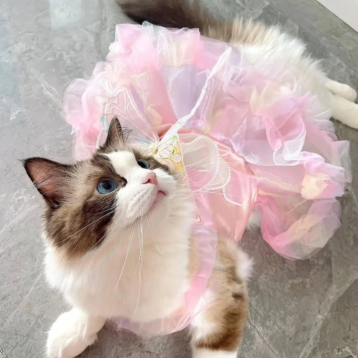 Vestito per Cane Cucciolo Fiocco Lusso Principessa Bellissimo Farfalla Floreale Abbigliamento Pizzo Gonna Tutu Vestito Carino per Cagnolina Piccola