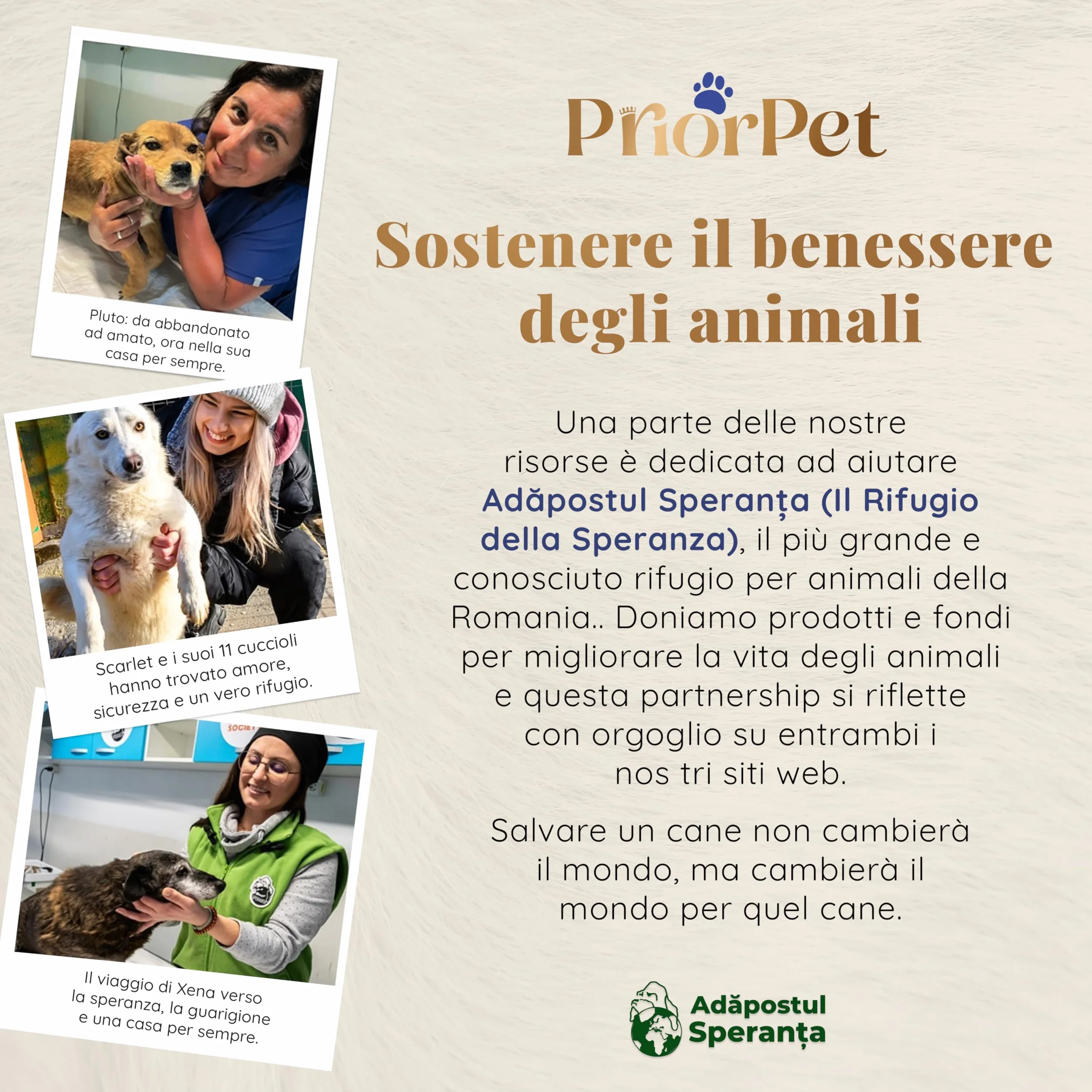 Rampa per Cani per Auto, SUV – Rampe Telescopiche Estensibili per Cani di Grossa Taglia – STABILI – ANTISCIVOLO – Sicurezza Notturna Lati Riflettenti – Capacità 90 kg – Clip di Bloccaggio – Nero