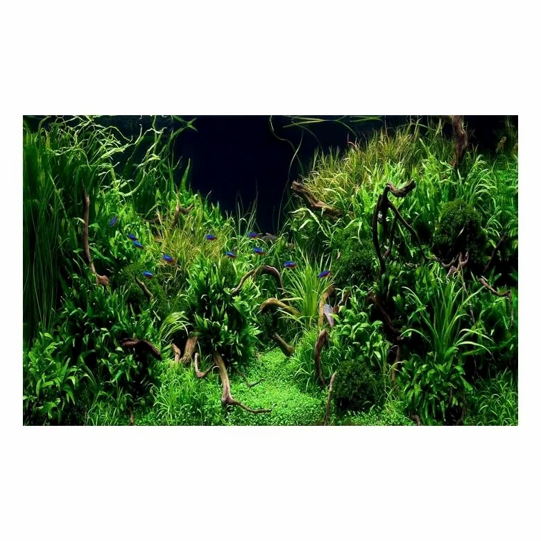 Acquario Sfondo Adesivo forestale Sfondo Acquario Ornamento Poster Foresta Acquario Paesaggio Carta autoadesiva for Acquario(White,54x122cm)