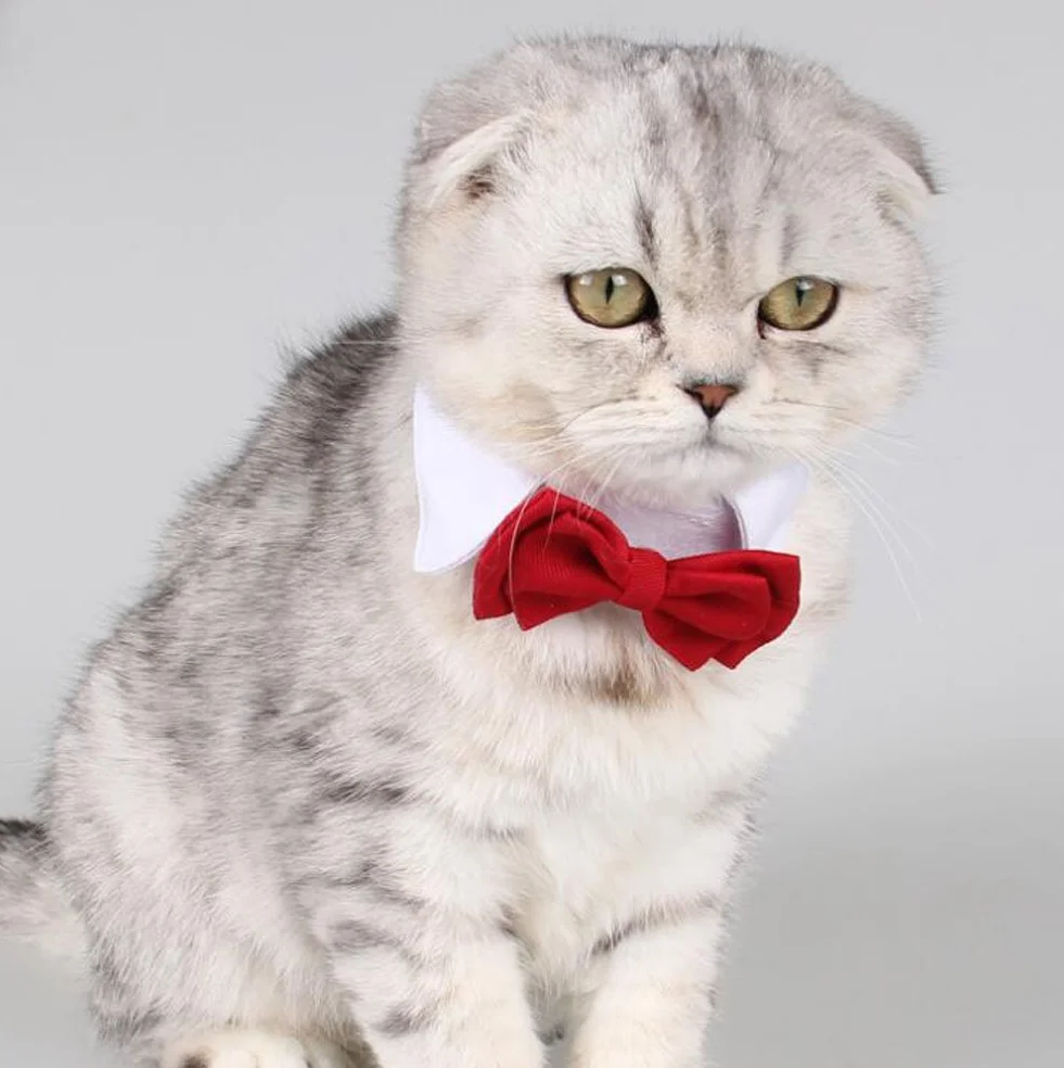 Piccolo Cane Gatto Cotone Collare Regolabile Cravatta a Farfalla Animale Domestico Bowknot 2 Pezzi