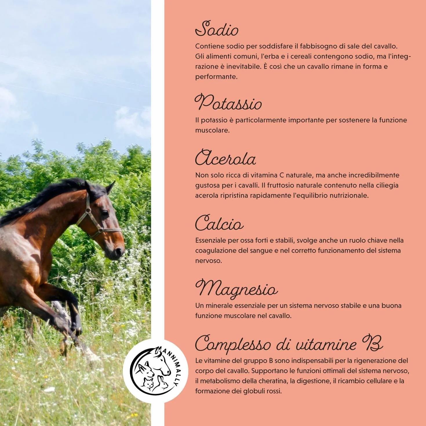 Elettroliti Liquidi per Cavalli 1000ml con Sodio, Potassio, Calcio, Magnesio e Vitamina B - Integratore Senza Zuccheri