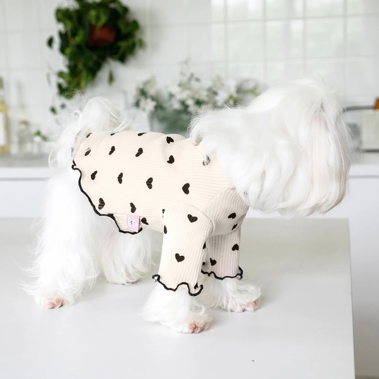Haustierkleidung für kleine Hunde und Katzen, Sommer, Herz, bedruckt, dehnbar, langärmelig, Outfits für Chihuahua, Yorkie (Kaffee, XS)