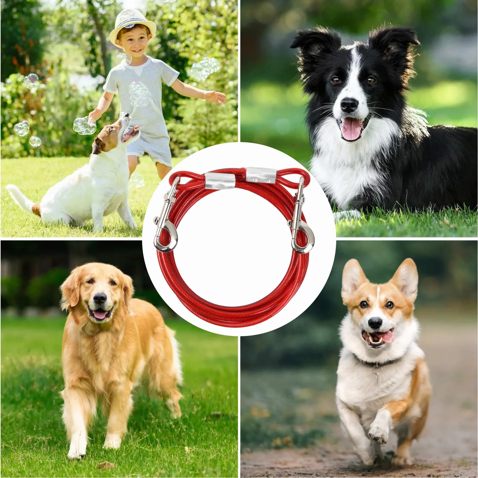 3 m Guinzaglio per Cani Lungo, Cavo Animali Domestici per Legare Il Cane, Cavo Acciaio Inossidabile 6mm, Catena di Sicurezza per Cani Grande Media Piccola Cortile Giardino, Fino a 250kg (Bianco)