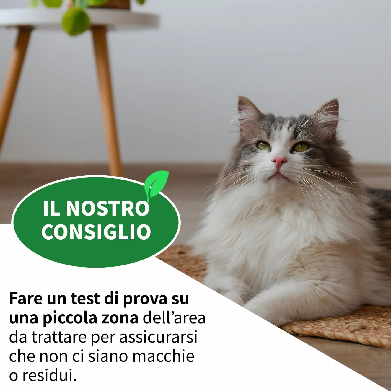 LEADER, Disabituante Spray, Repellente, Dissuasore, Allontana Cani e Gatti, Crea Barriera Olfattiva, Con Oli Essenziali ed Ingredienti Naturali, Uso per Superfici Interne ed Esterne, Formato da 1L