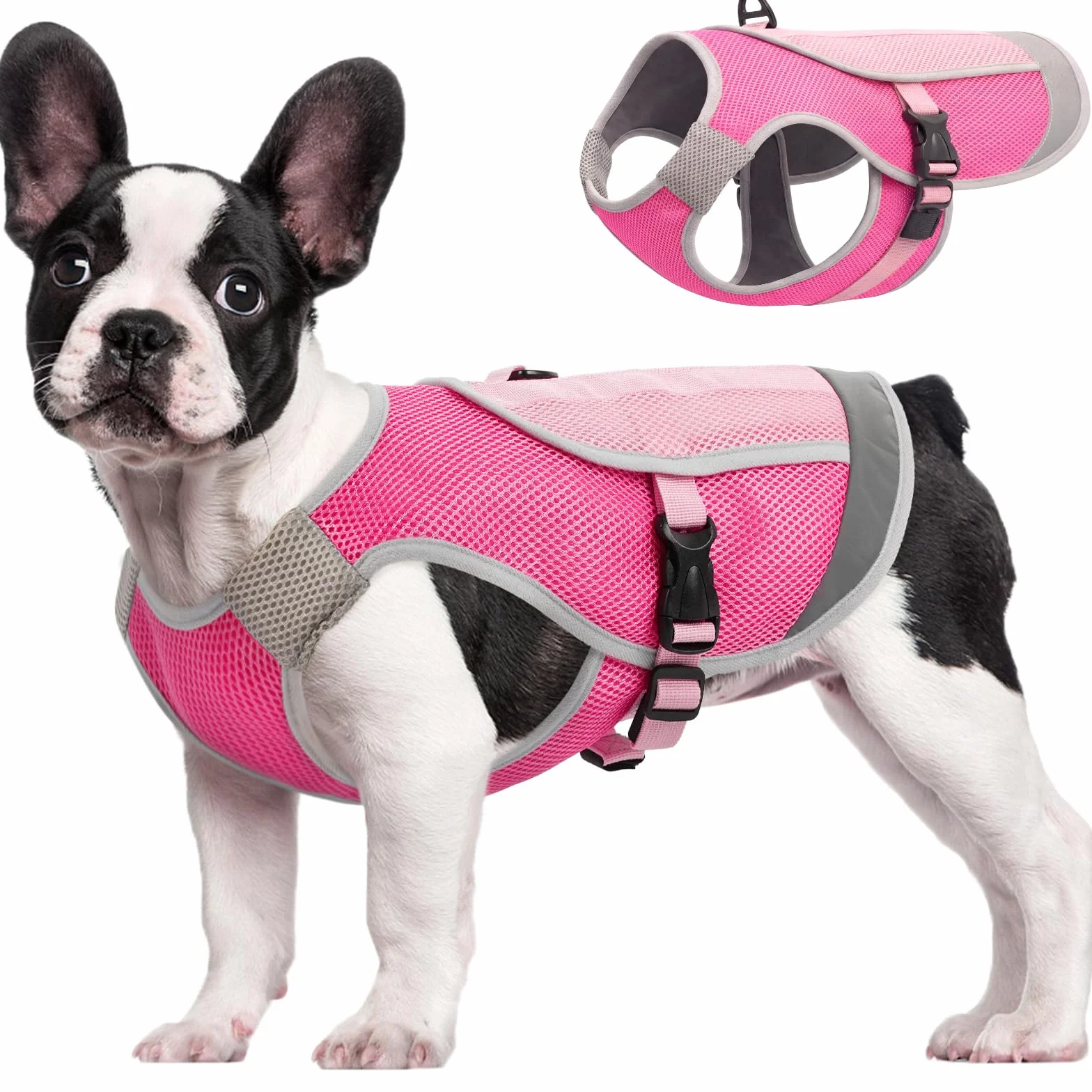 Kuoser Gilet Rinfrescante per Cani, Cappotto Evaporativo con Fibbia Pettorale e Anello a D, Rosa, Taglia M
