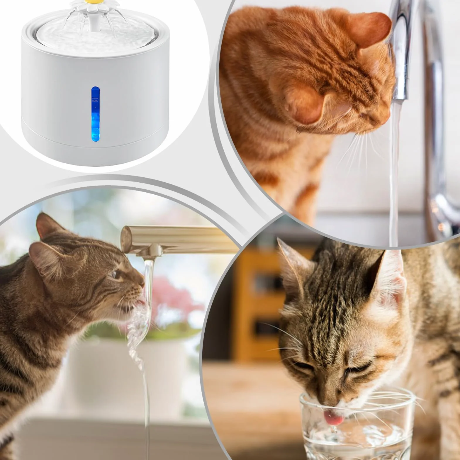 per gatti con dispenser d'acqua, ricaricabile, con automatica | 2 litri per abbeveratoio per gatti, ciotola per cani, gattini, fontana automatica per gatti e